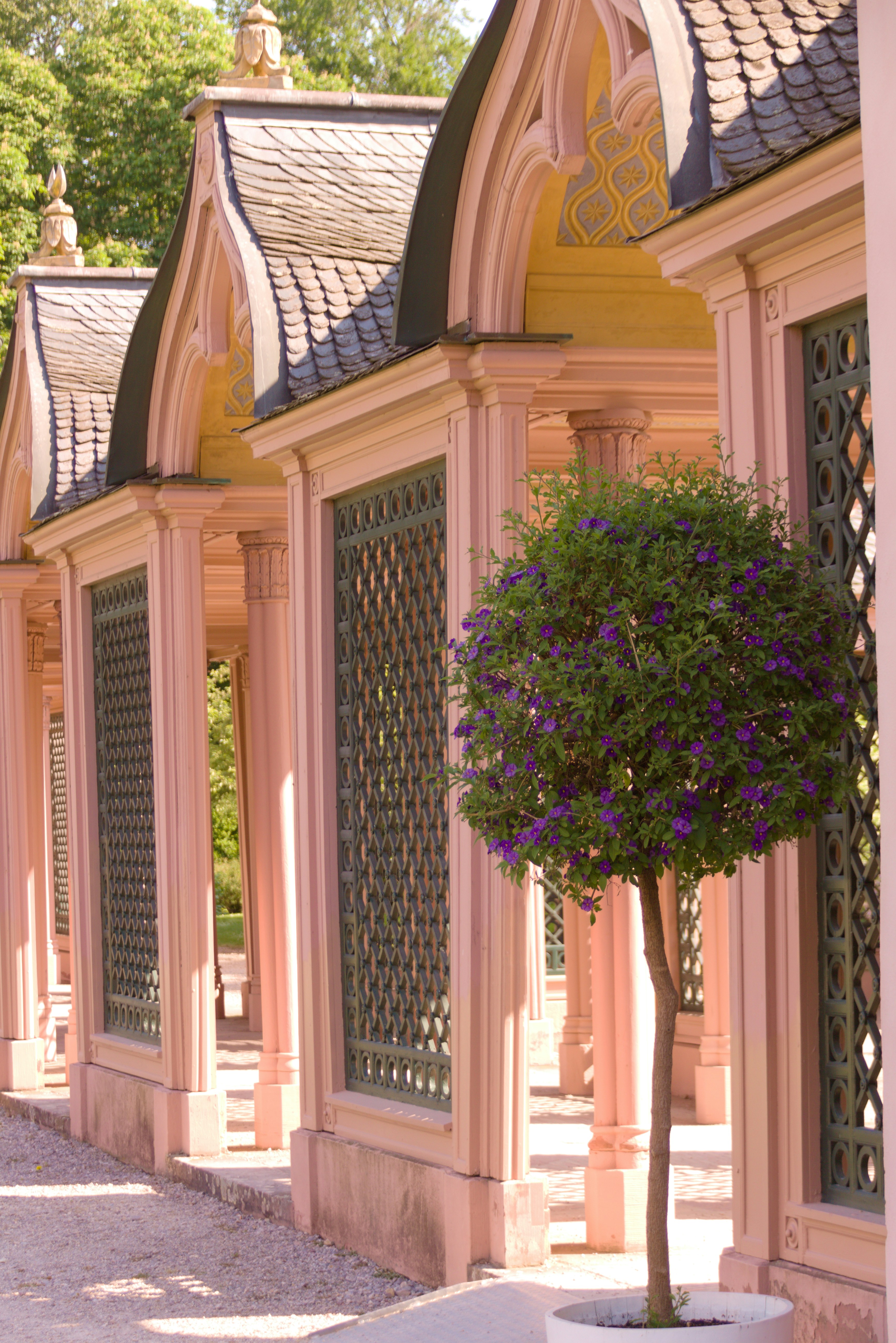 Photo by klarin_steffens