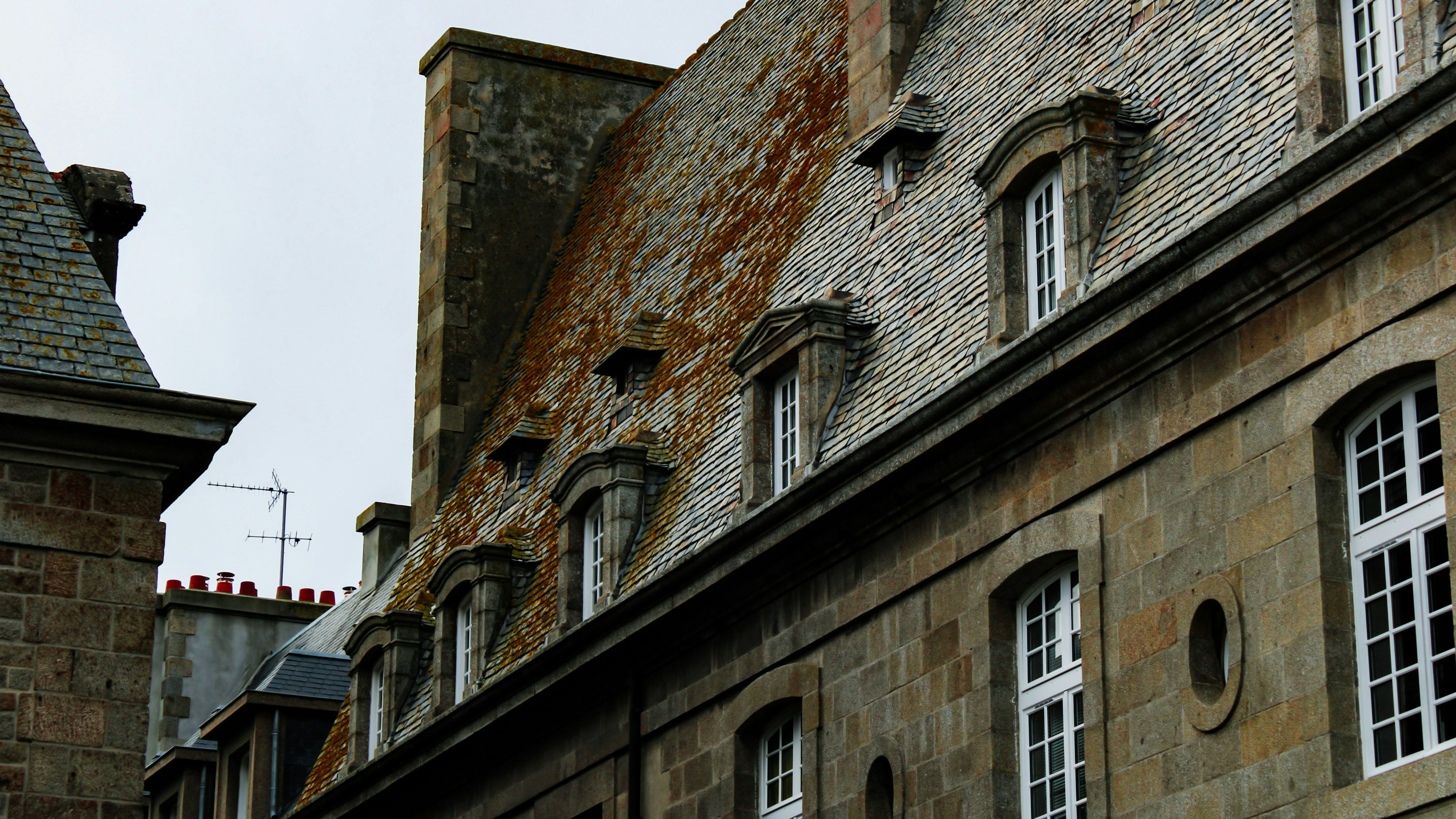 Photo by matheuscavaleiro