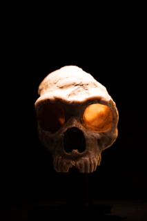 Close-up of a crimson skull pendant glowing softly against a dark background