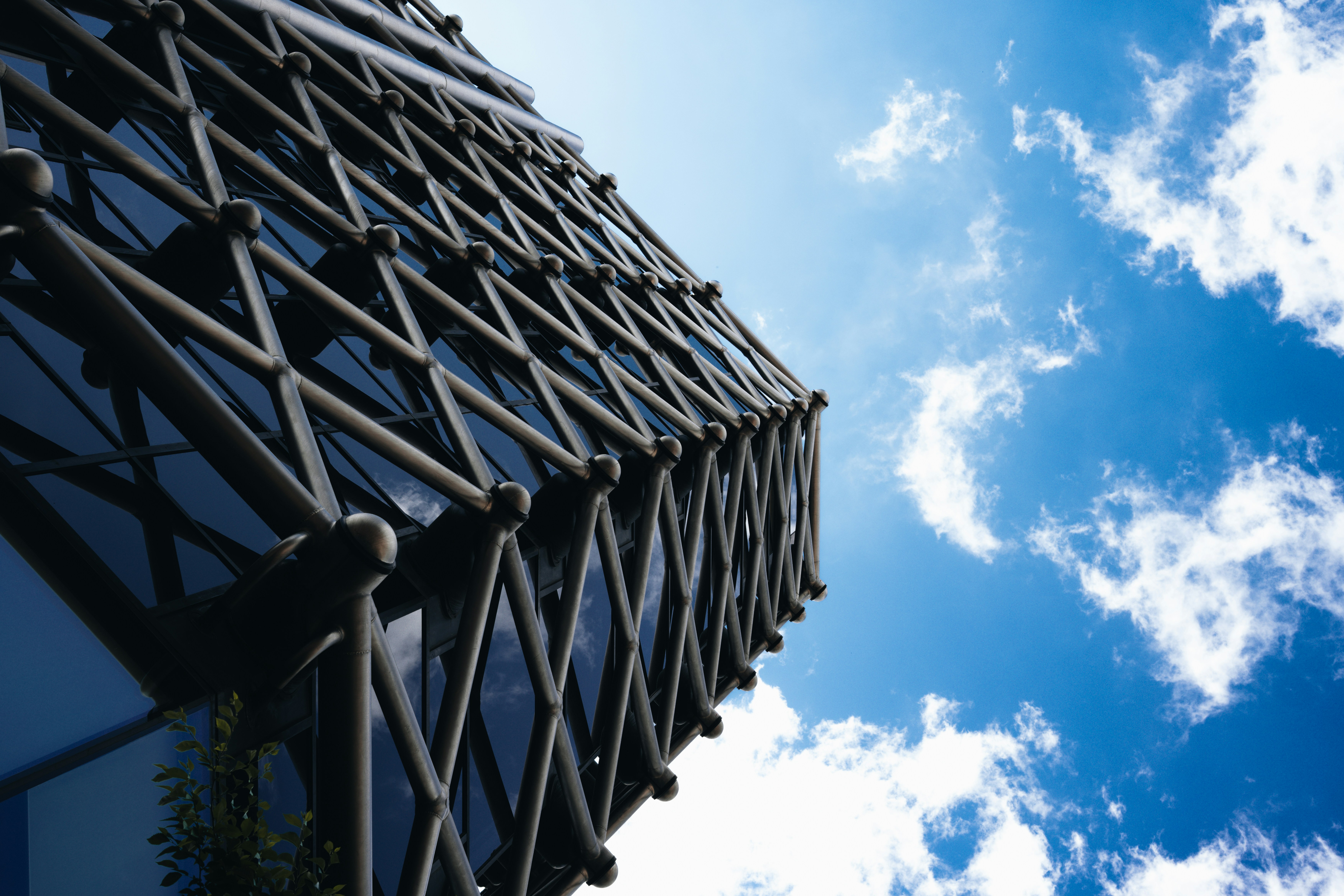 Photo by dreyerchris