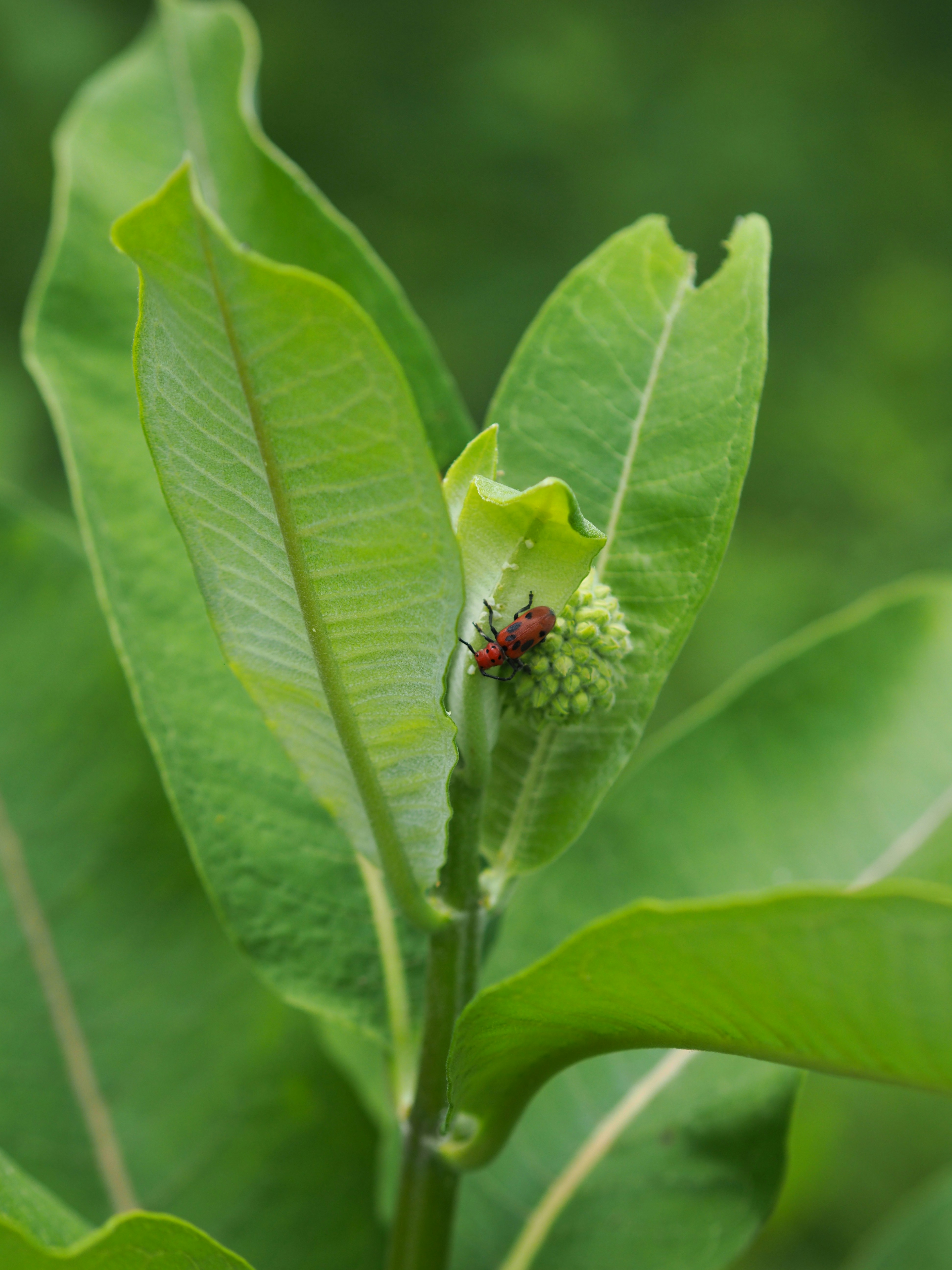 Photo by fieldworkframes