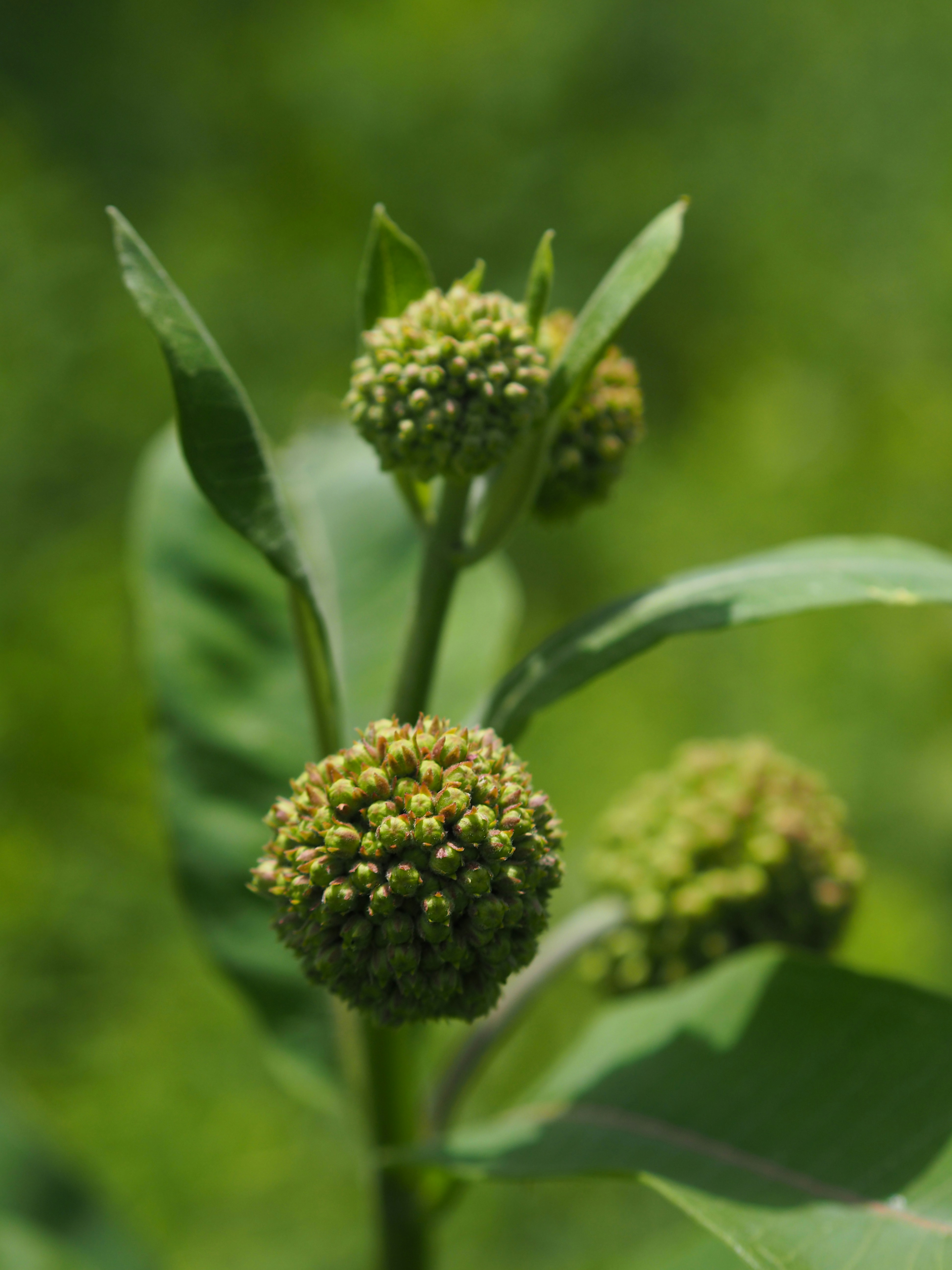 Photo by fieldworkframes