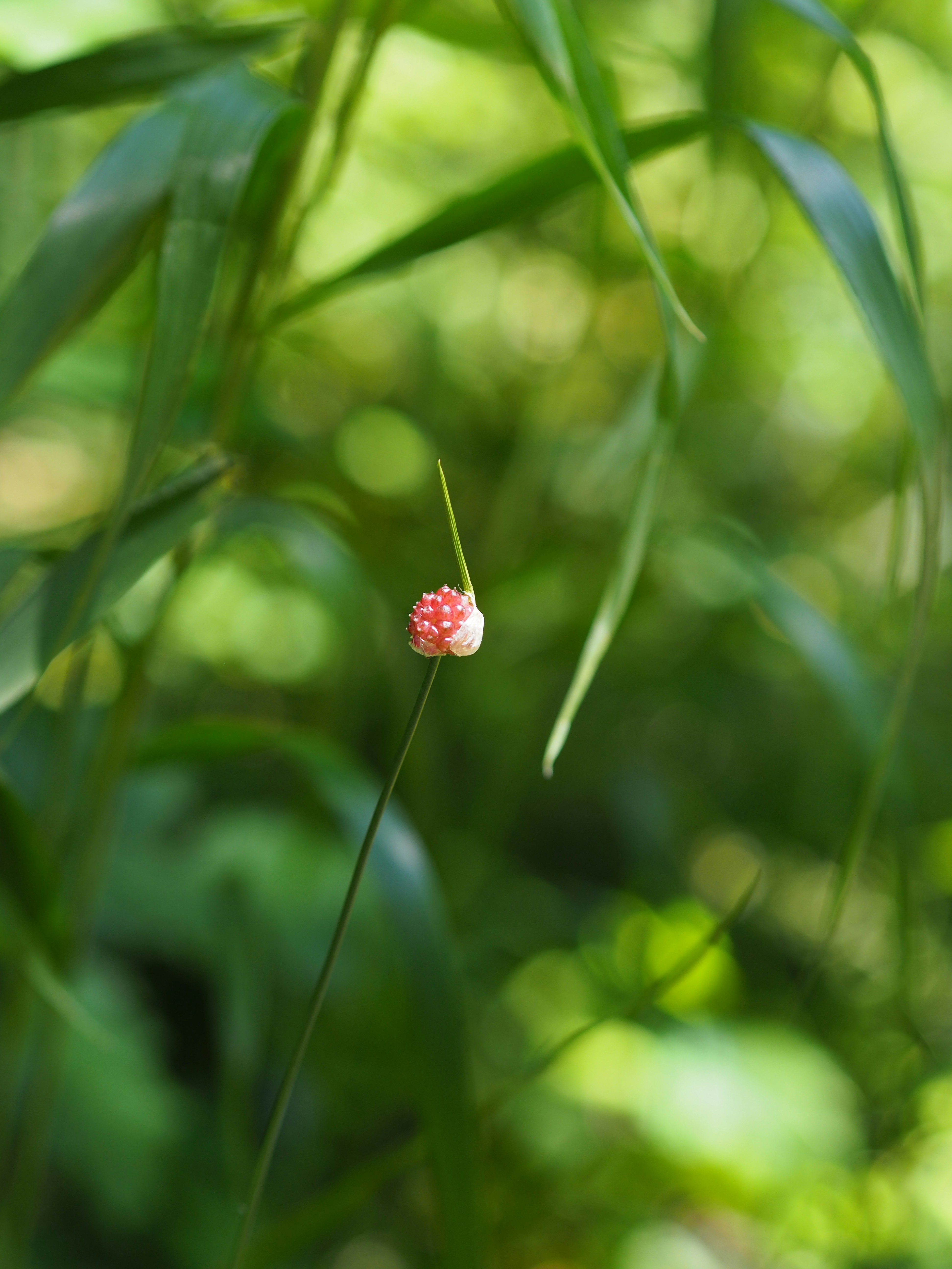 Photo by fieldworkframes