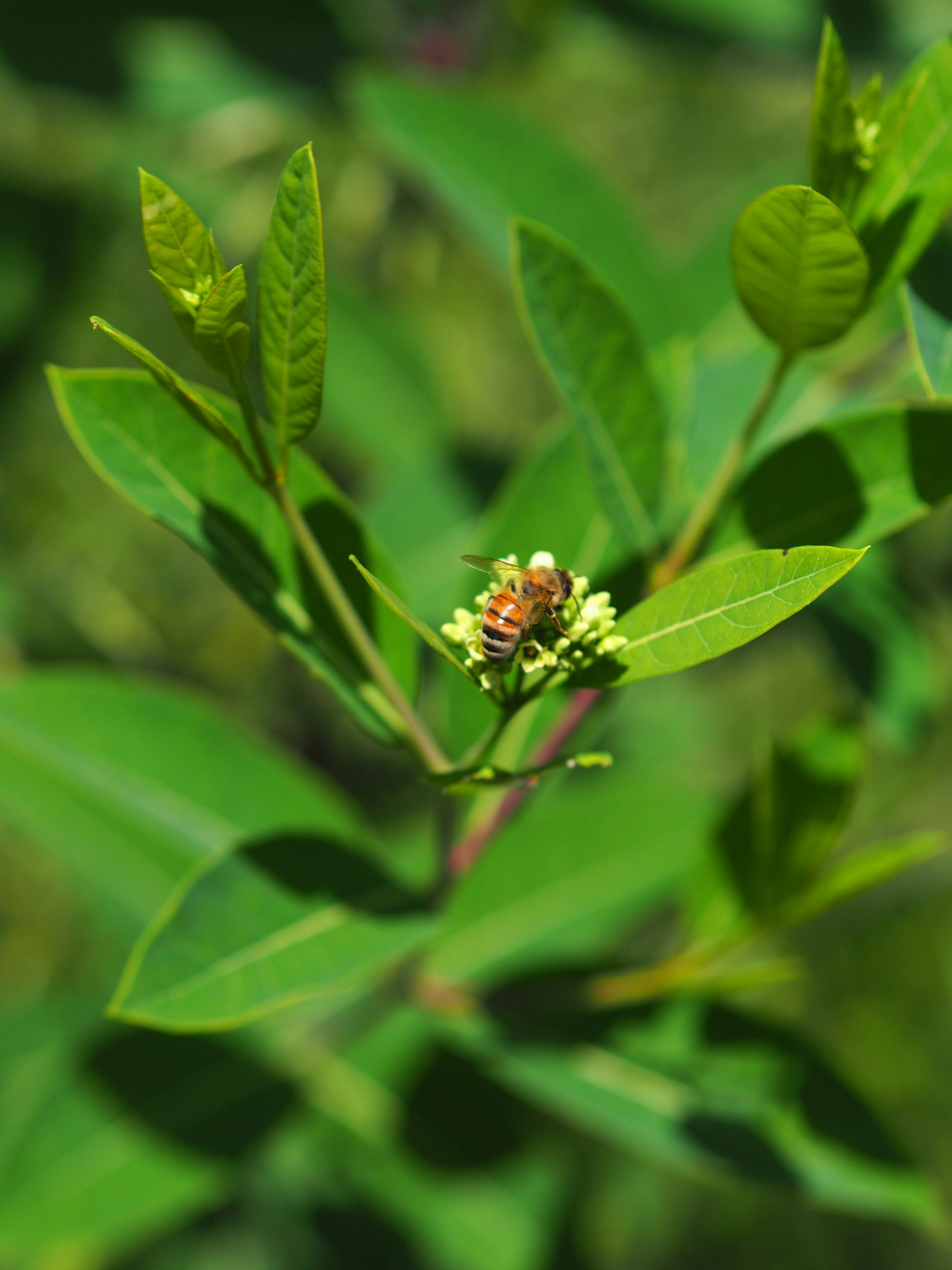 Photo by fieldworkframes