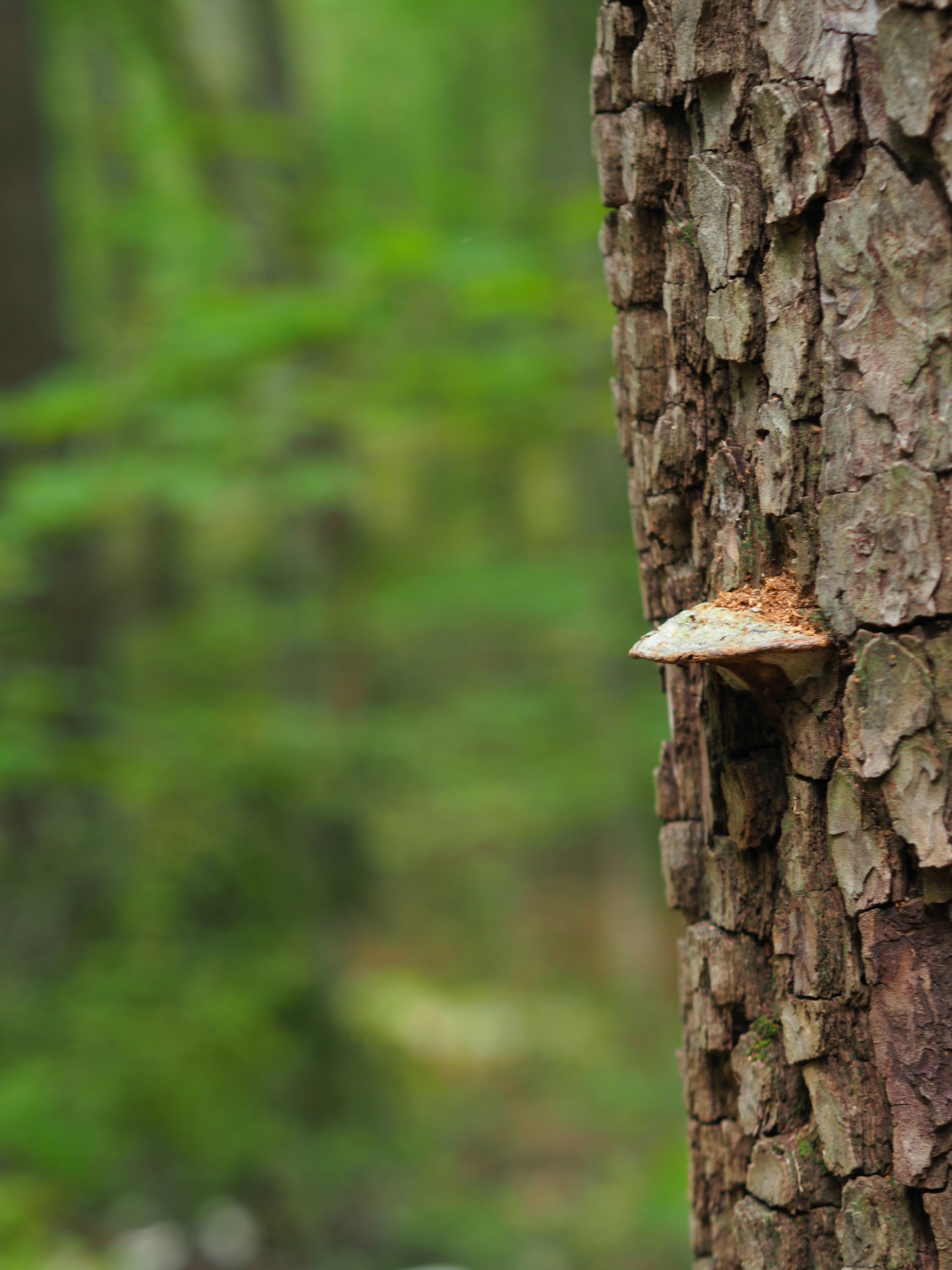 Photo by fieldworkframes