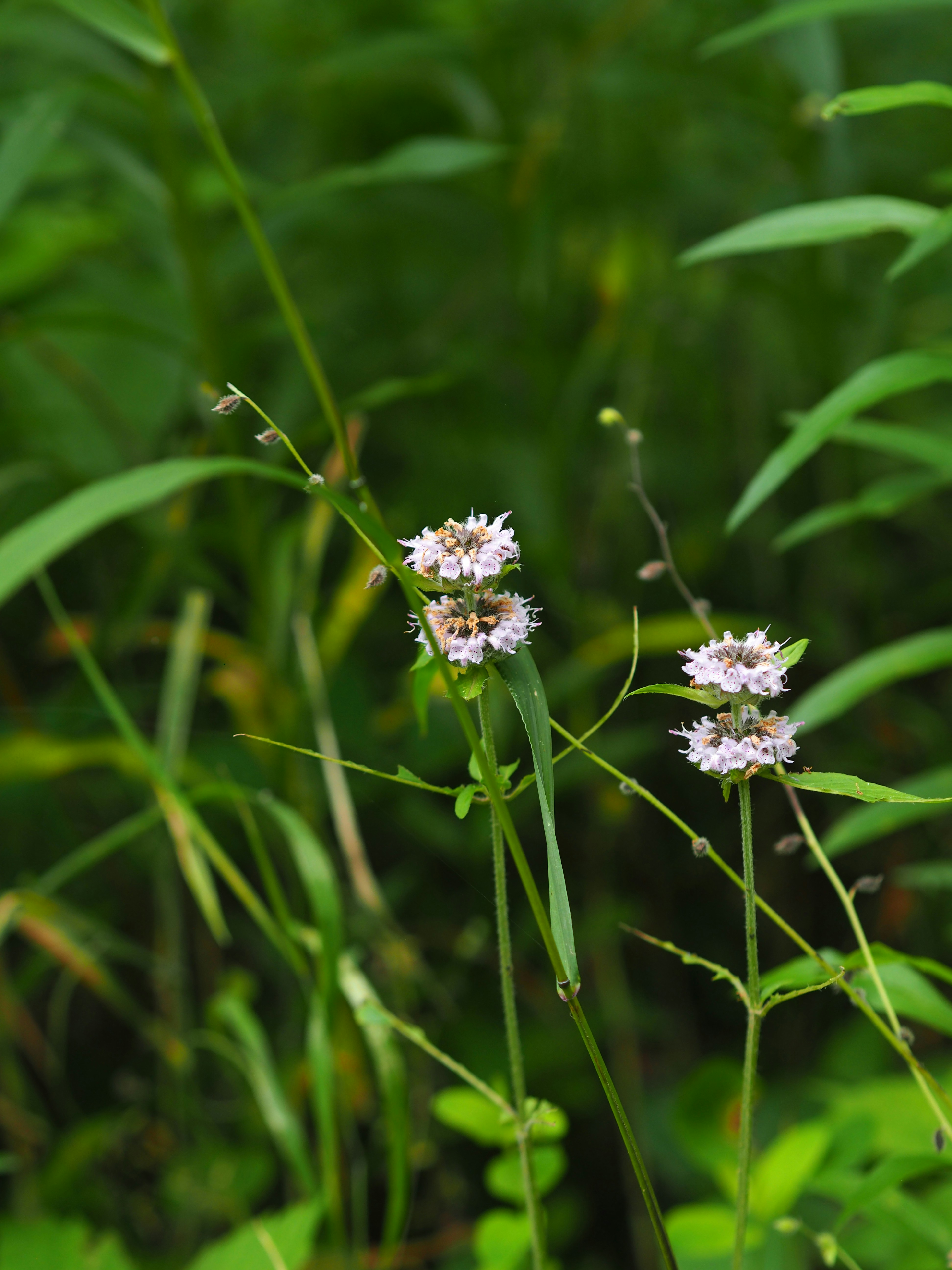 Photo by fieldworkframes