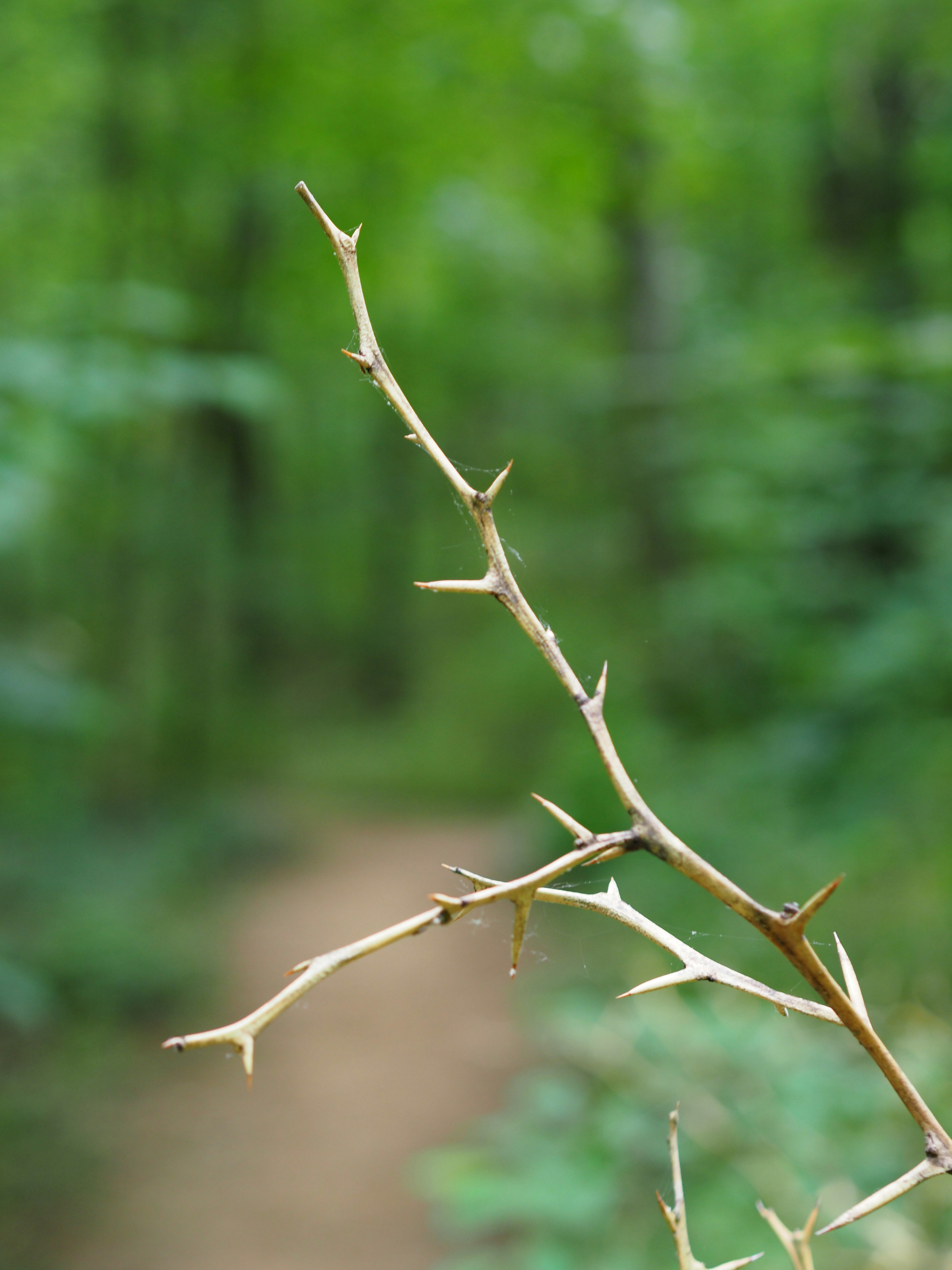 Photo by fieldworkframes