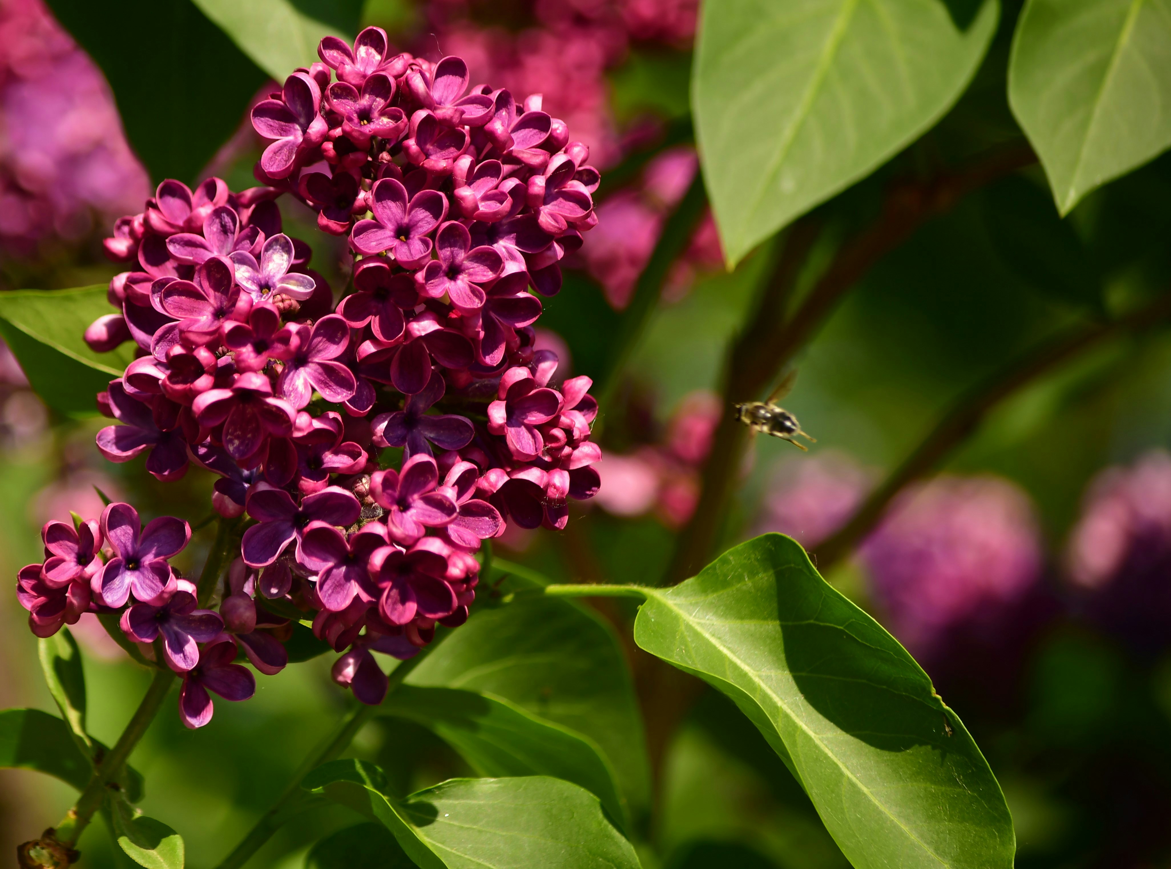 Photo by profounddemon