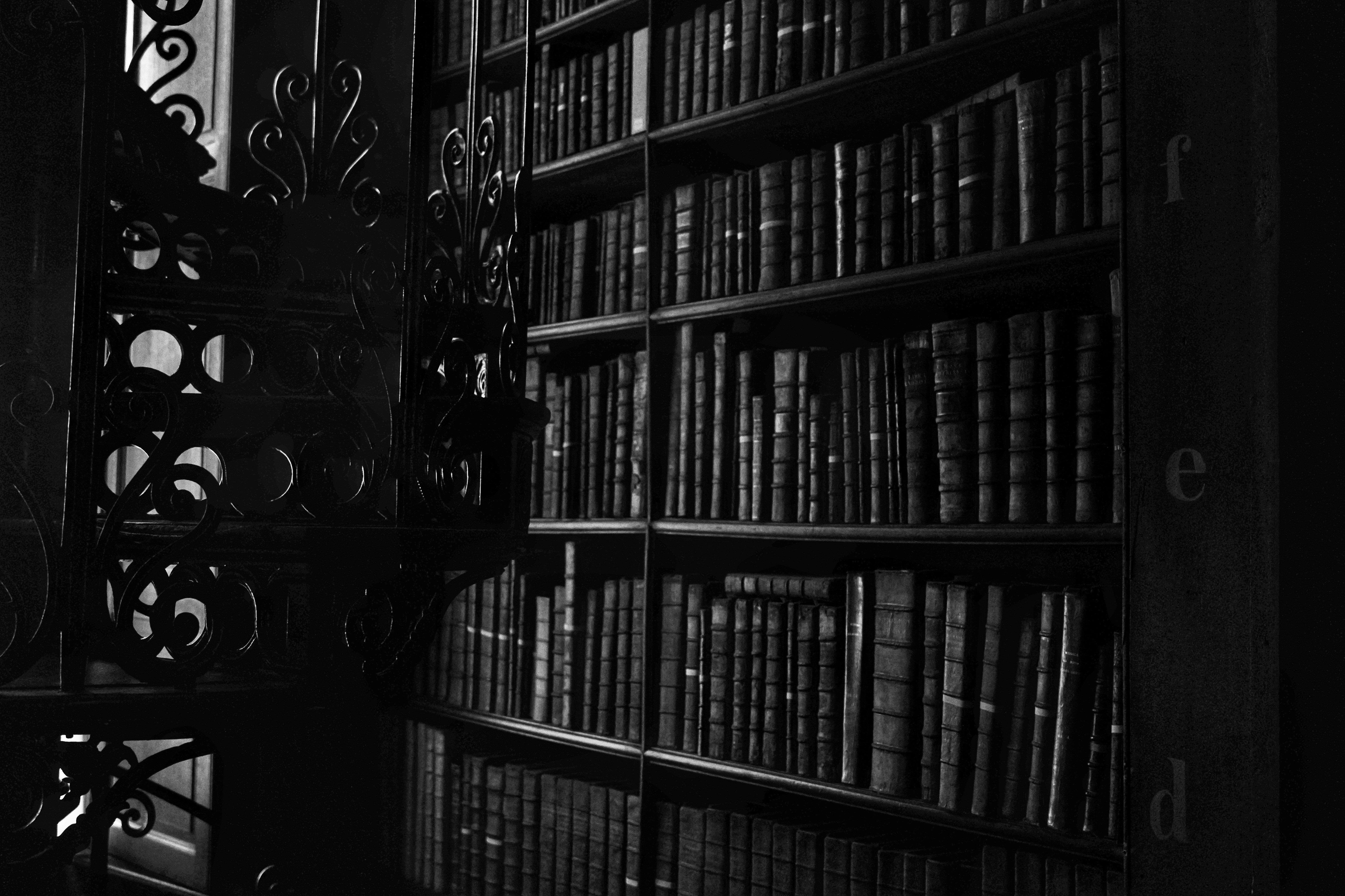 Escape ins Abenteuer