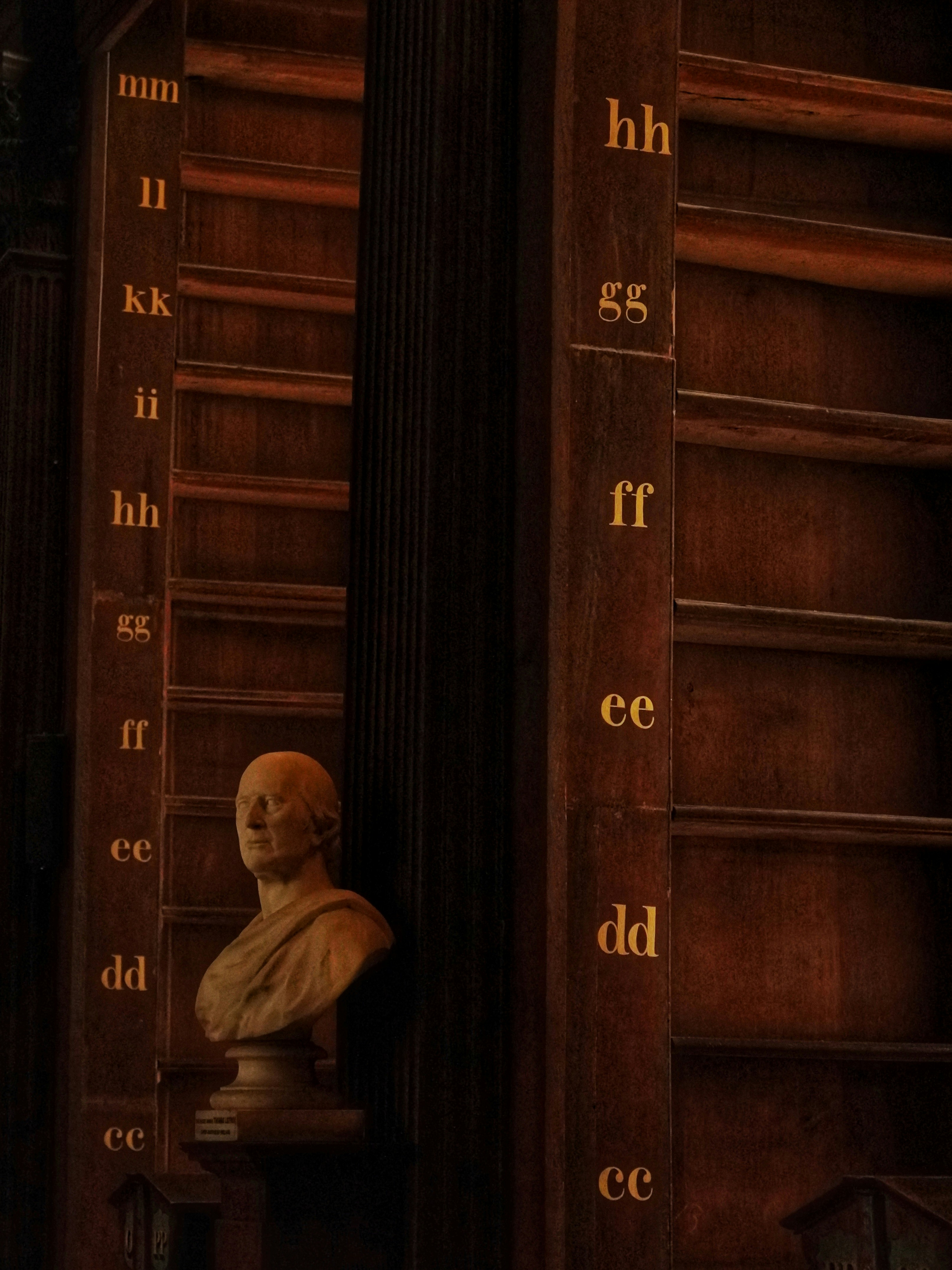 A bust of a man in front of a bookshelf photo Free Book of kells