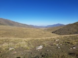 A sunny Patagonian steppe with vast open plains and distant hills.