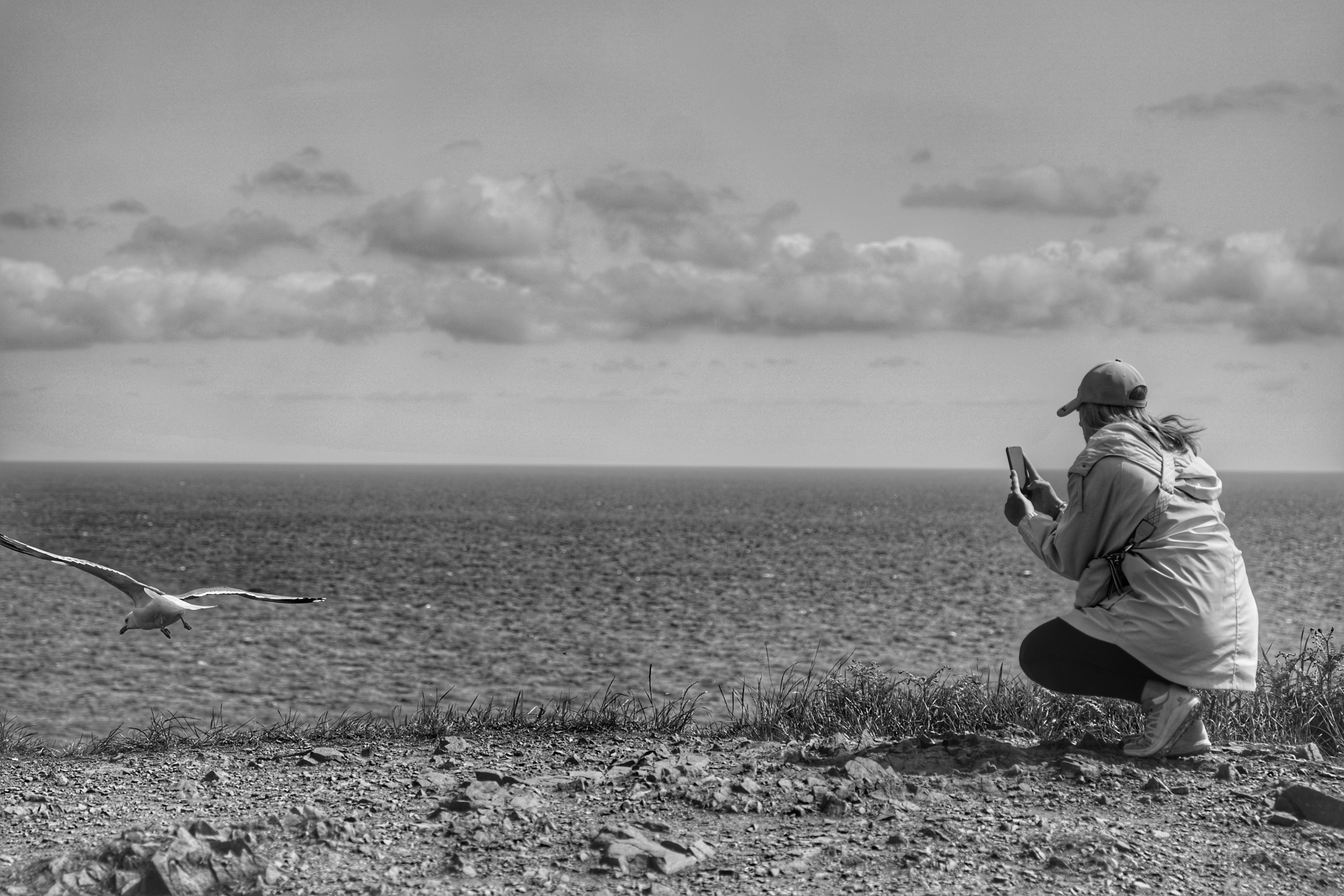 Photo by kohleggermichael