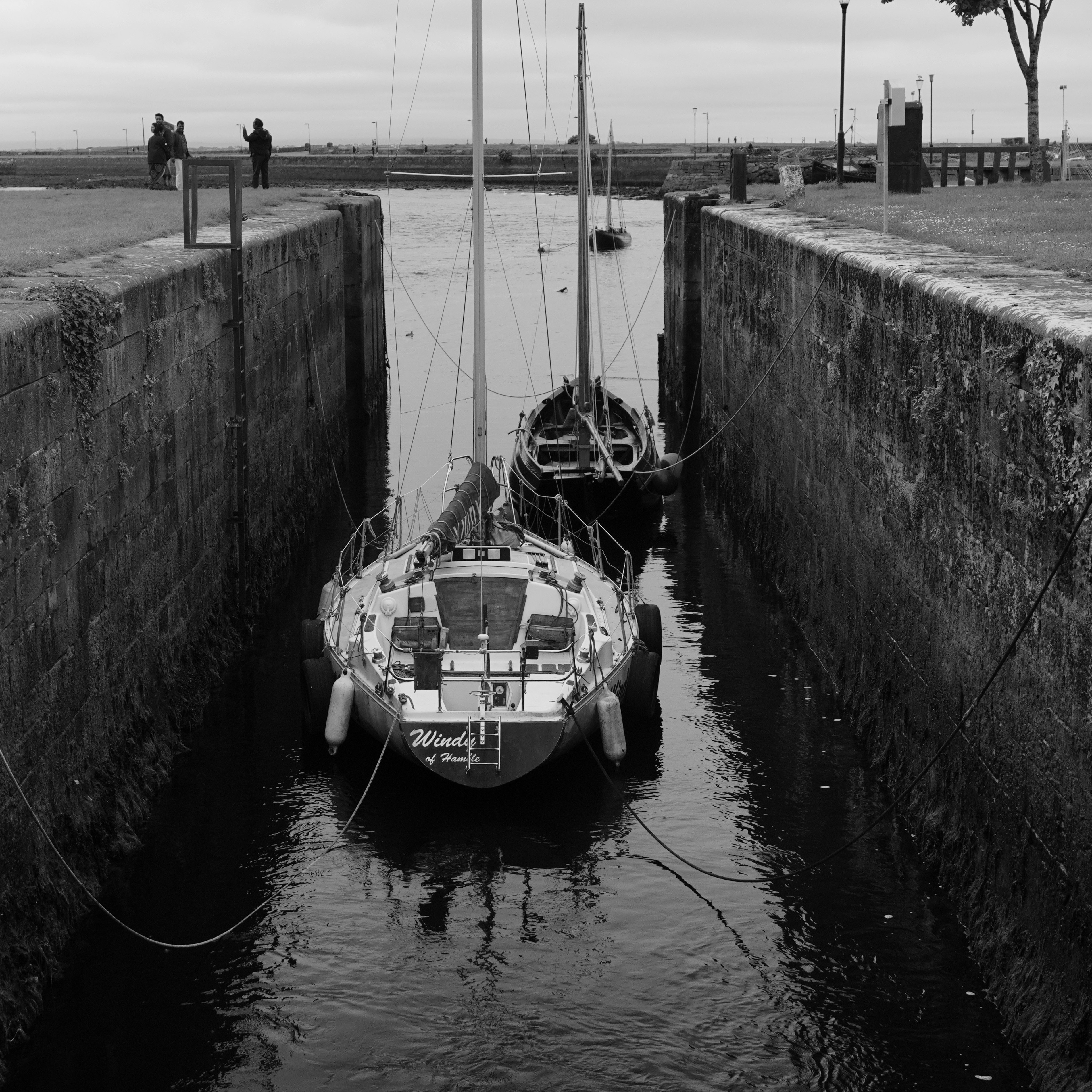 Photo by kohleggermichael