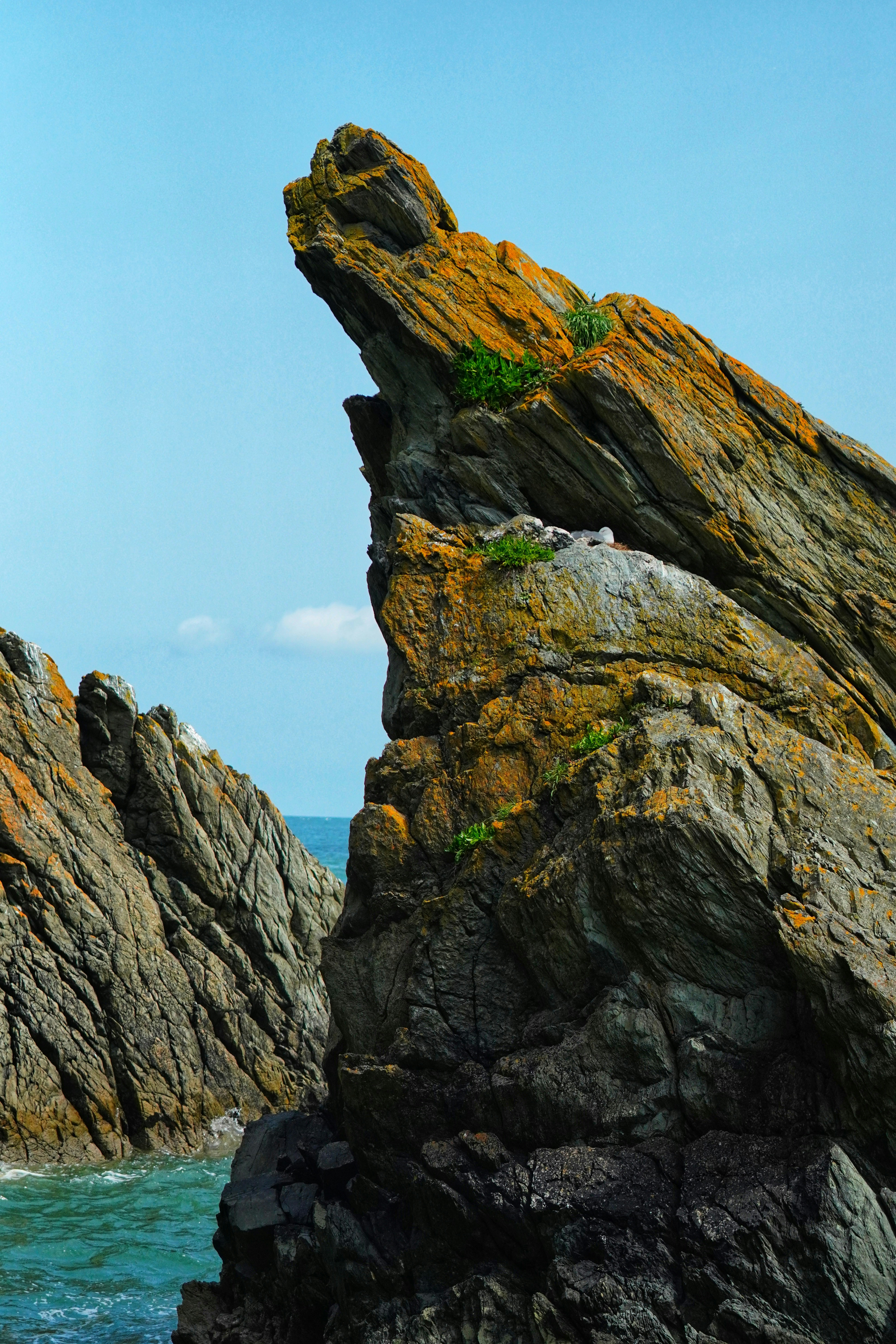 Photo by kohleggermichael