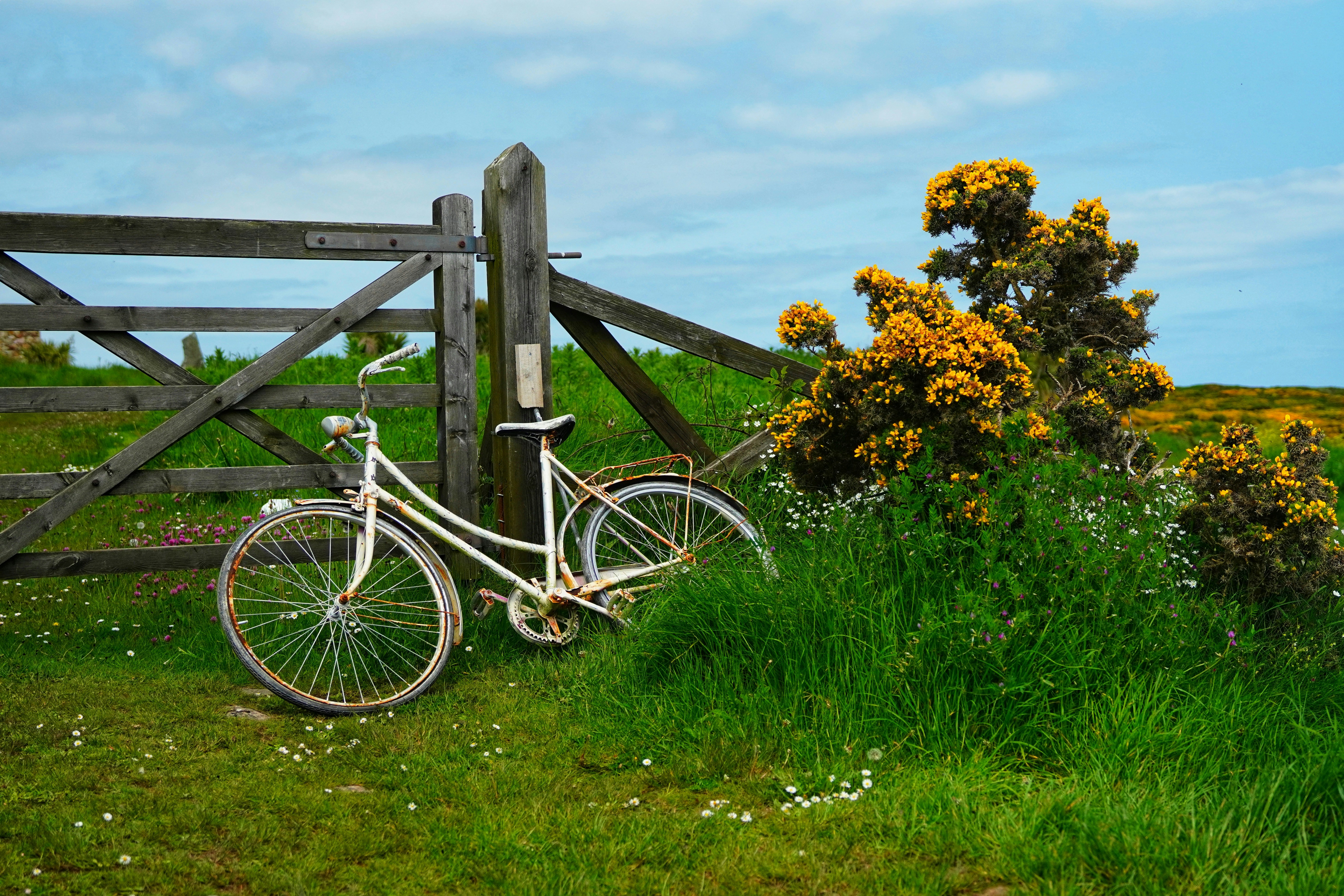 a white bicycle leaning against a wooden fence