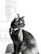 A sleek black cat wearing a collar with a small pendant, sitting upright and gazing to the side. The background is softly blurred, emphasizing the feline's glossy fur and alert posture.
