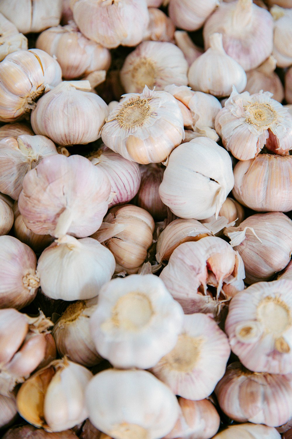 a pile of garlic sitting next to each other