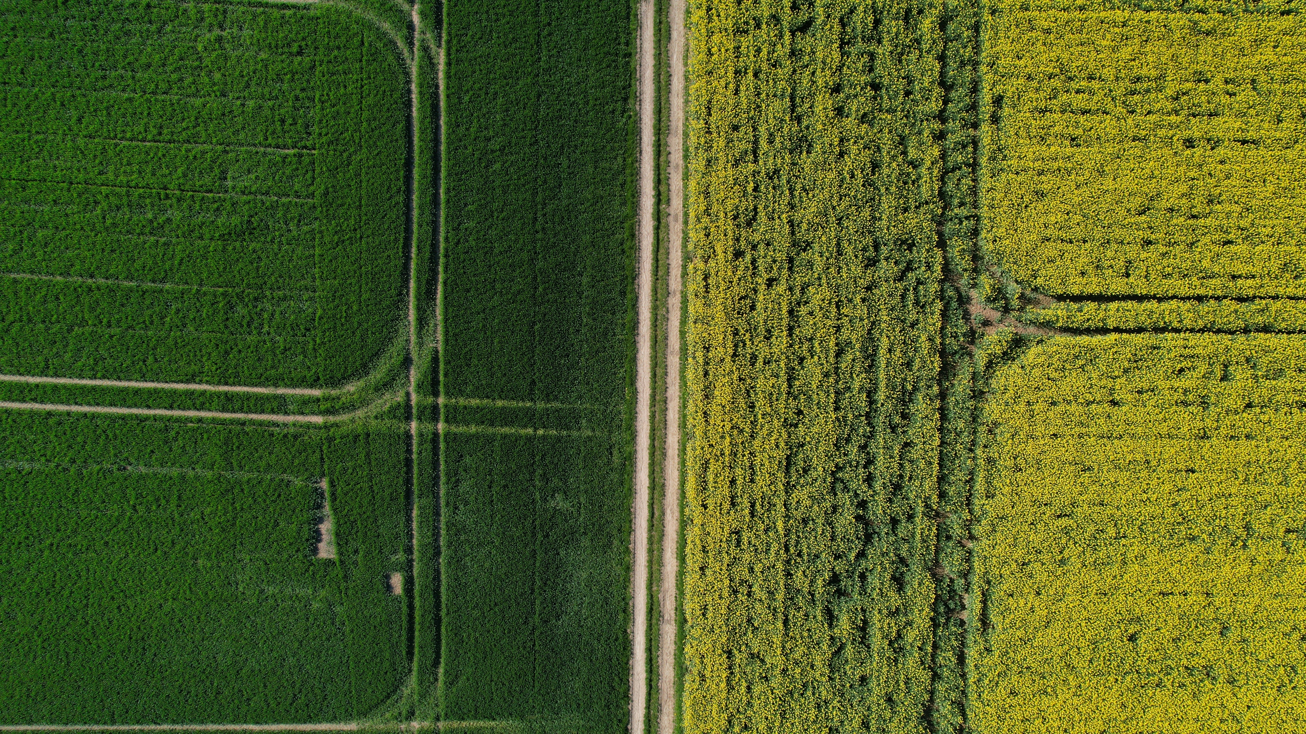 Photo by mortezakhalili