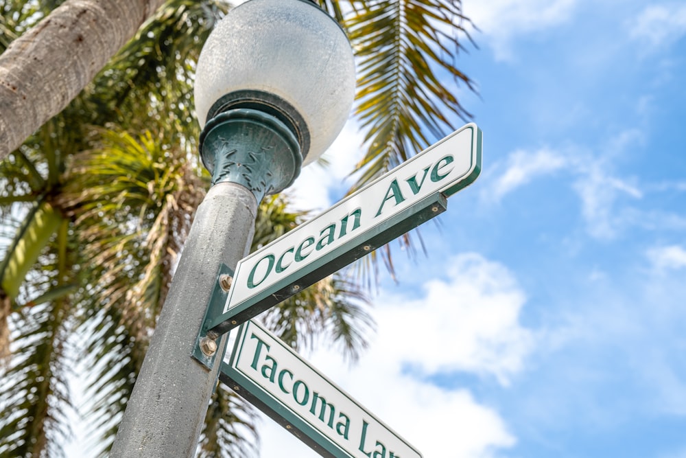 a close up of a street sign with palm trees in the background