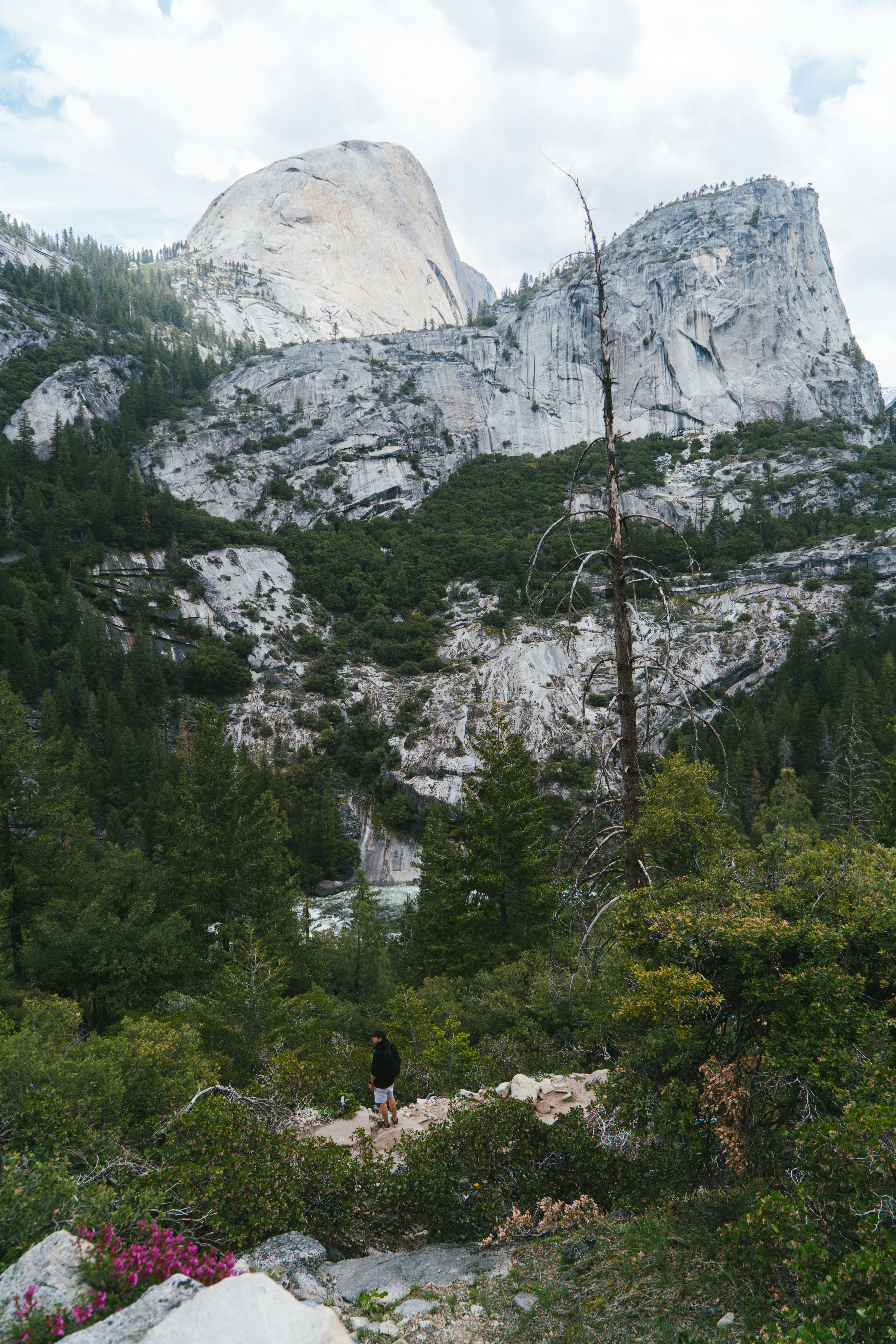 Photo by rosalindjchang