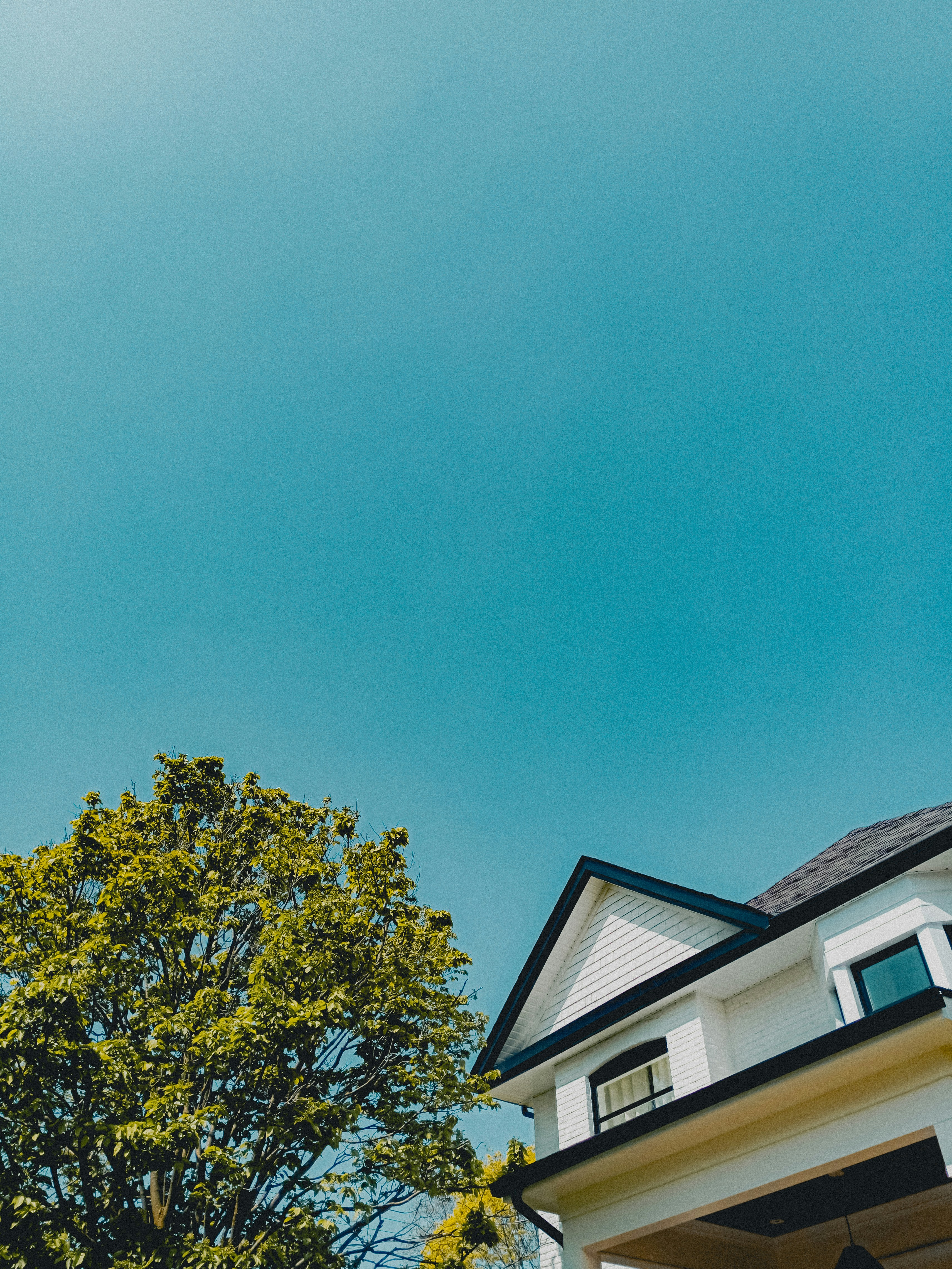 Photo by linusbelanger