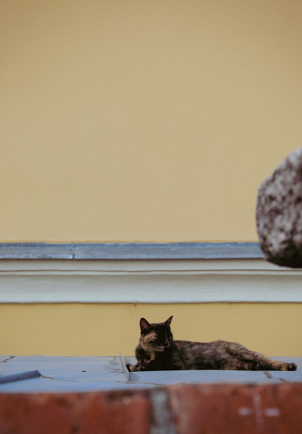 a cat laying on the ground next to a window