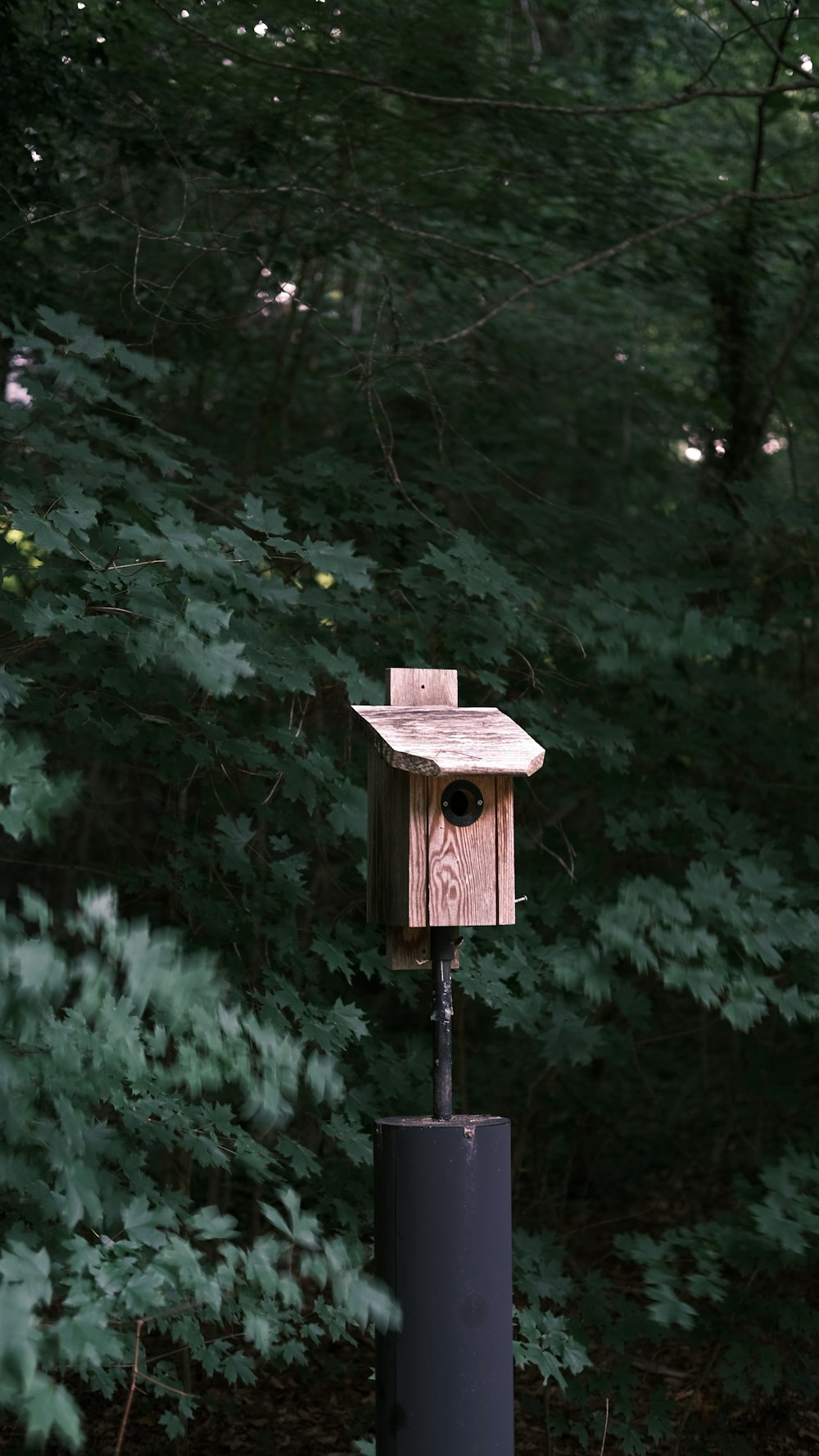 a birdhouse on top of a post in the woods