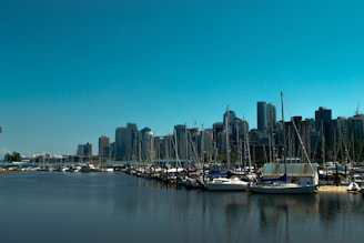 A bustling marina with numerous sailboats docked along the waterfront, flanked by a modern city skyline with tall skyscrapers under a clear blue sky.