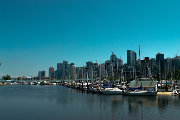 A bustling marina with numerous sailboats docked along the waterfront, flanked by a modern city skyline with tall skyscrapers under a clear blue sky.