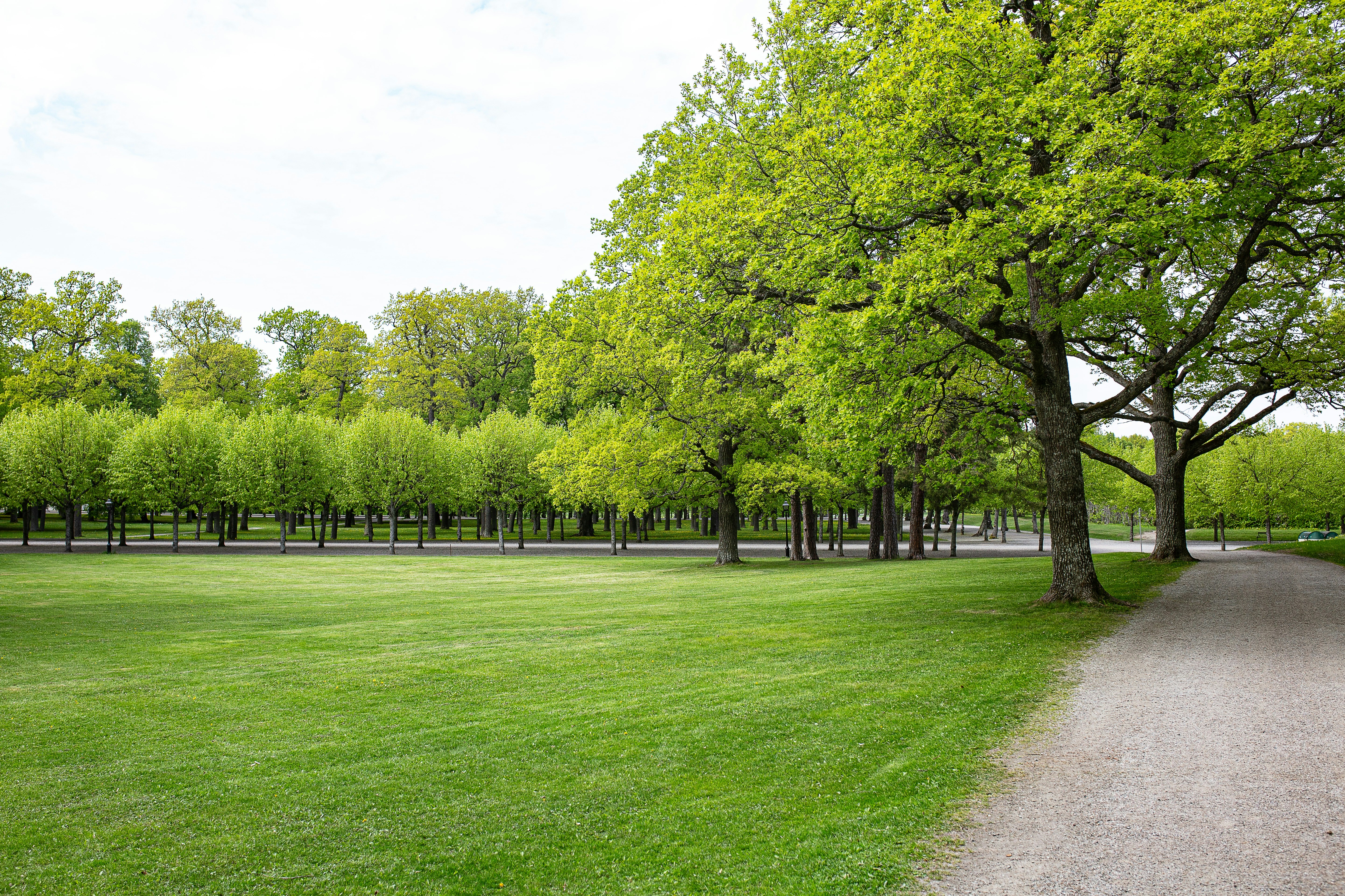 Photo by pedrogandra