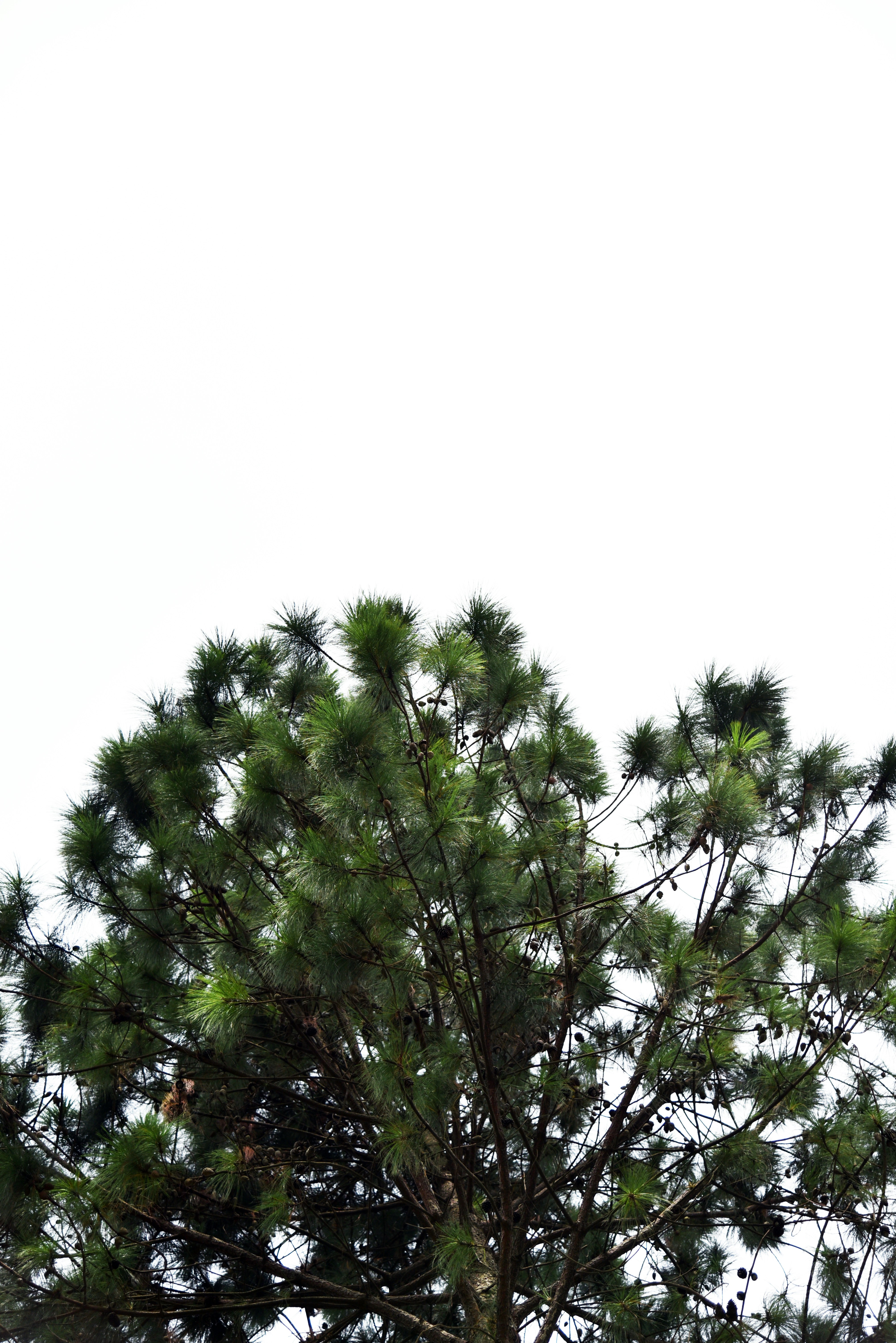 Photo by sastravila