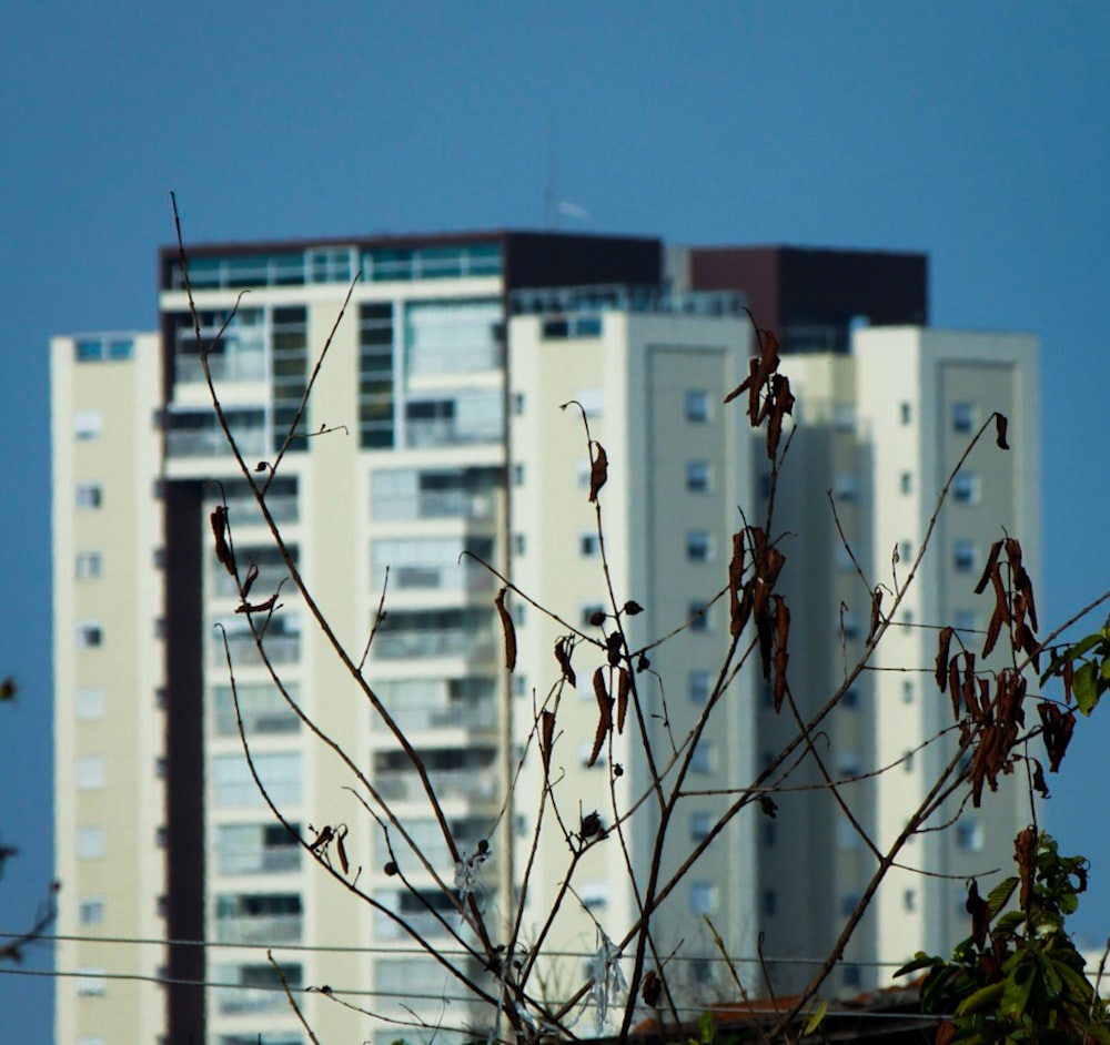 a tall building behind a tree in front of a blue sky