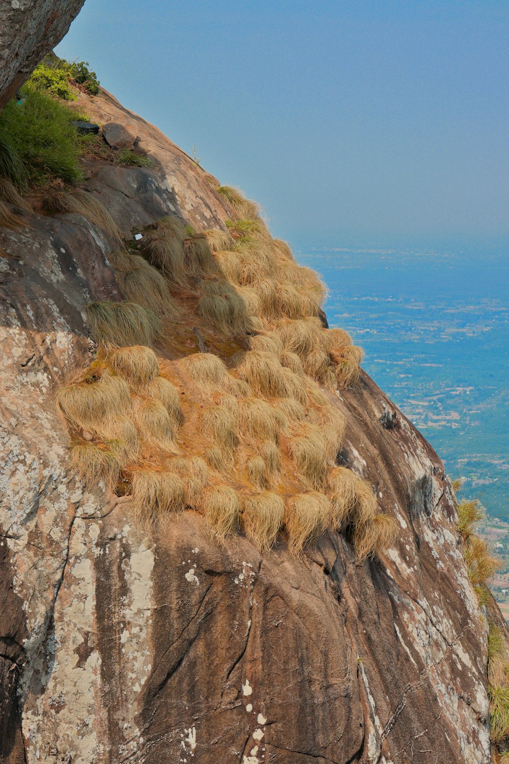 a rocky cliff with grass growing on top of it