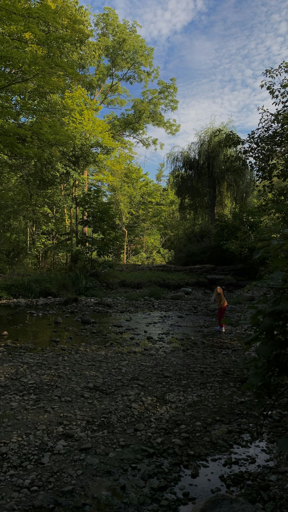 a woman in a red dress standing in a stream
