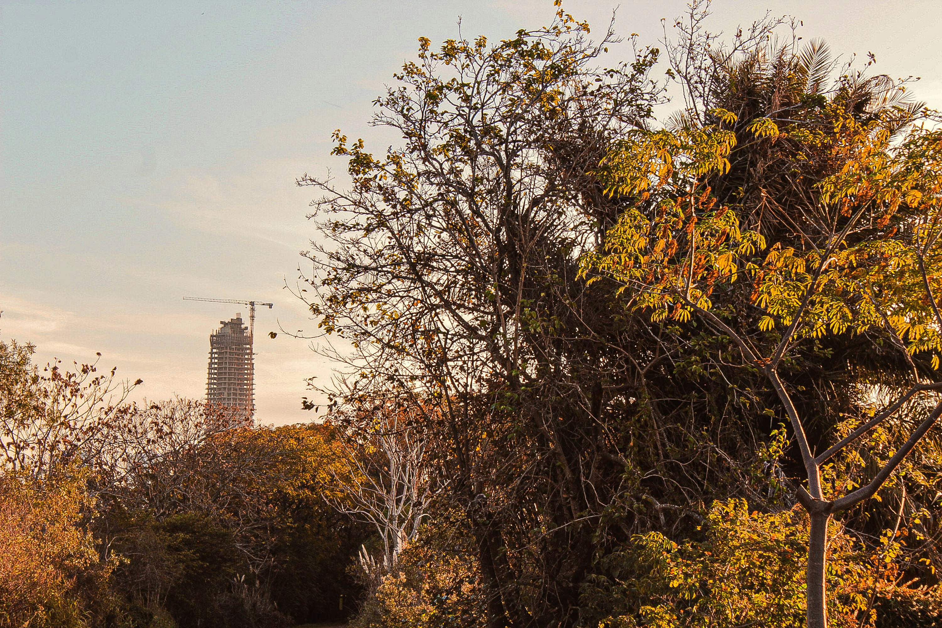 Photo by gabrielmagurno