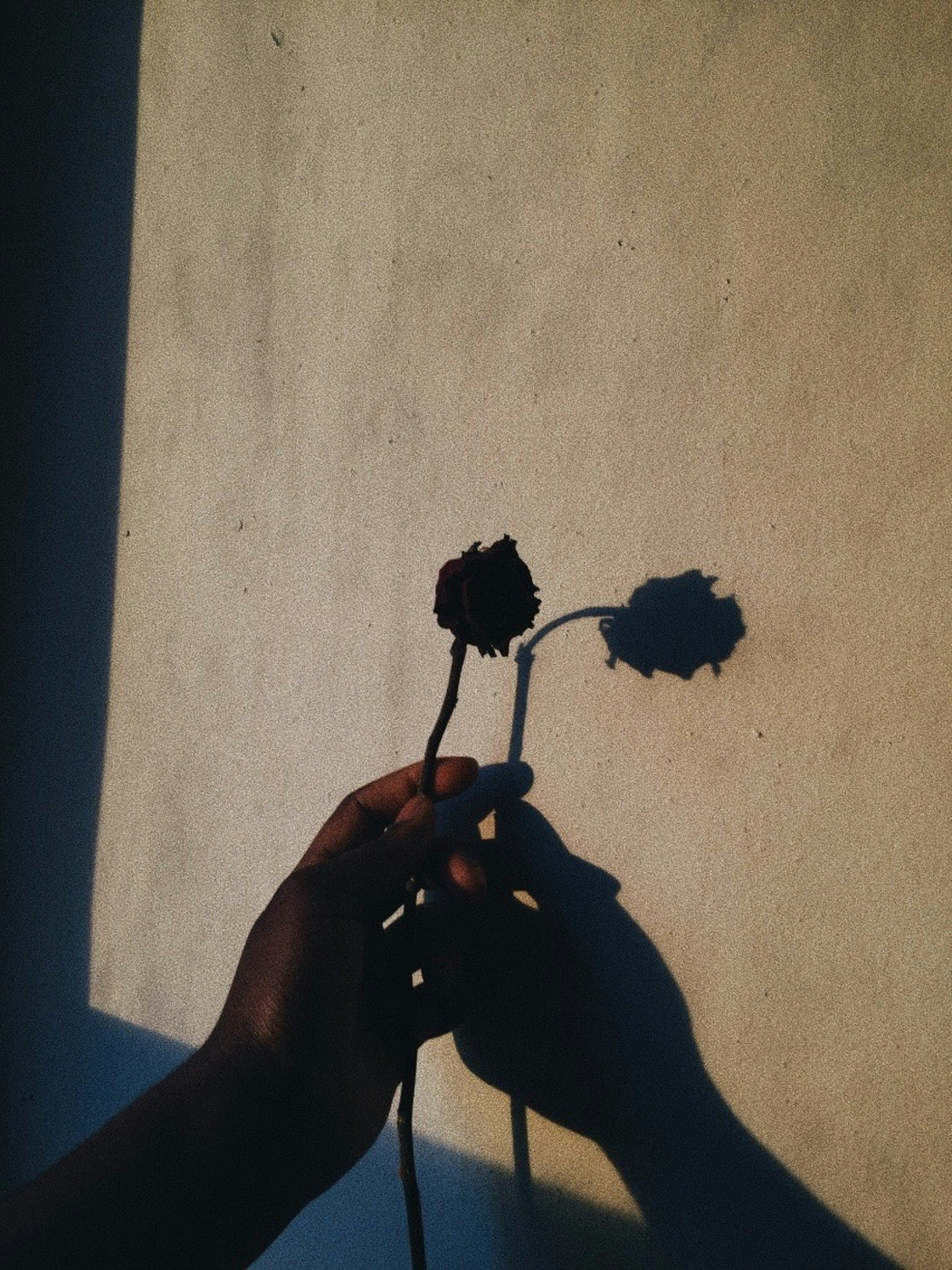 Journaling for Forgiveness: 50+ Prompts to Release Resentment and Heal