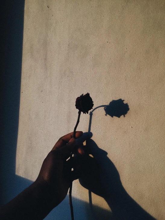 a person holding a flower in their hand