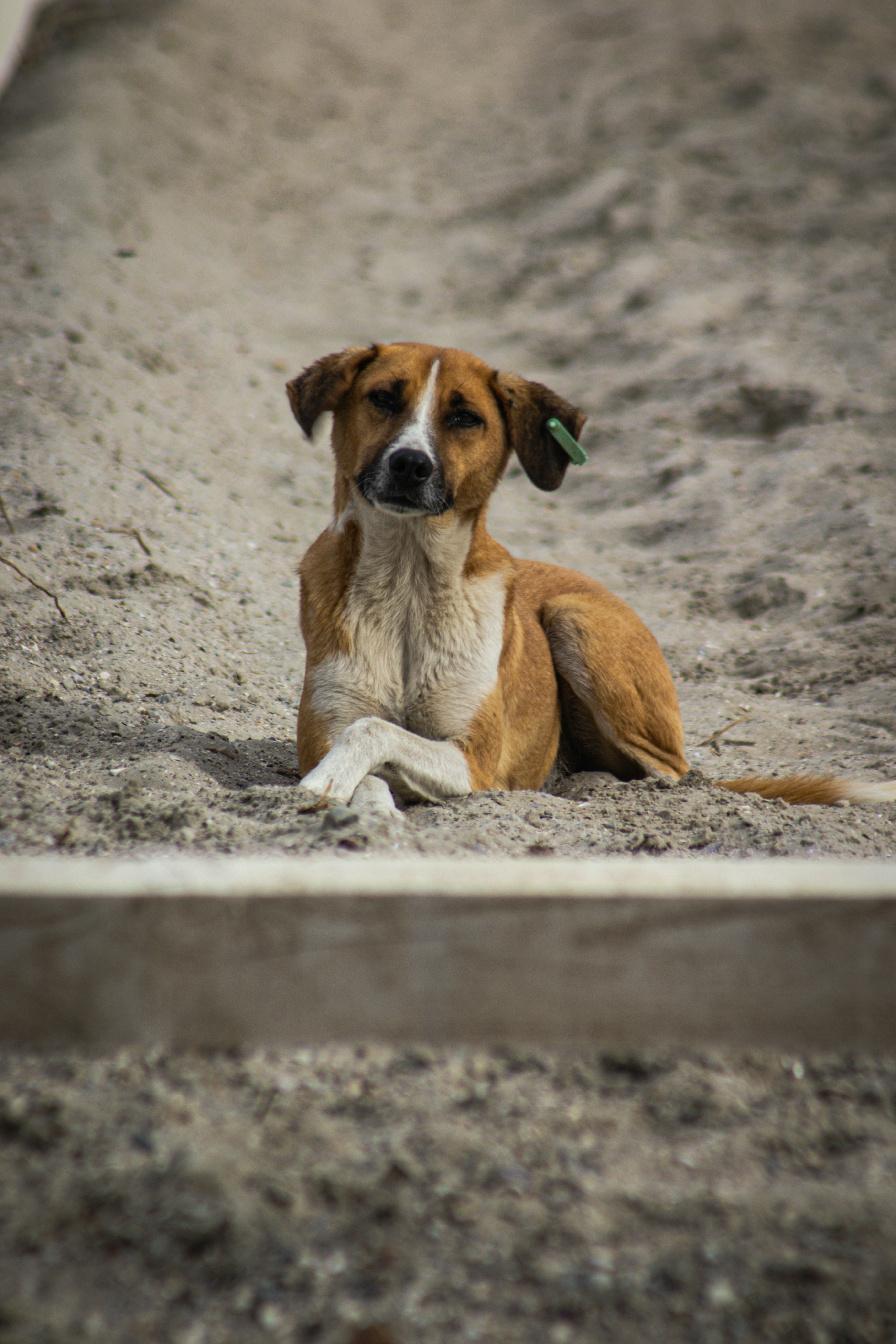 man holding incandescent bulb