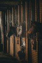A row of stables with horses peeking their heads out of their stalls. The corridor is dimly lit with a rustic and cozy ambiance. The brick walls of the stables are visible, along with some hanging ropes and saddles.