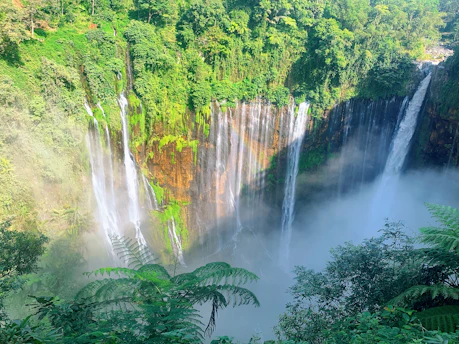 a large waterfall in the middle of a forest
