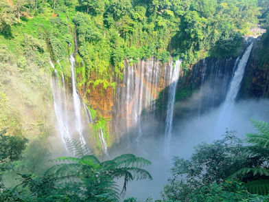 a large waterfall in the middle of a forest