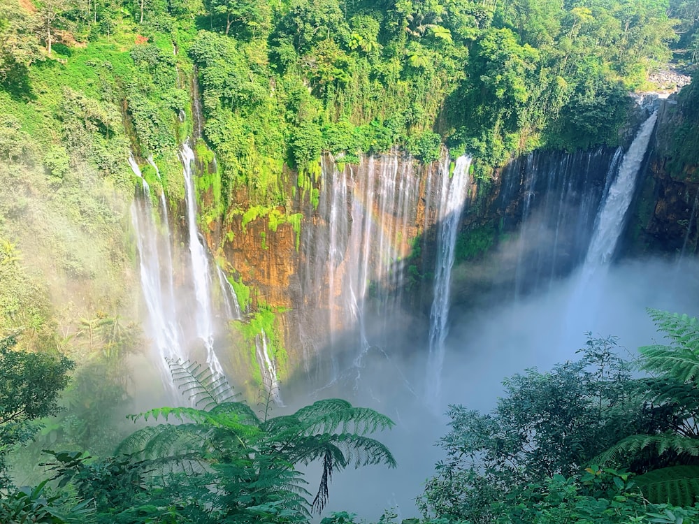 a large waterfall in the middle of a forest