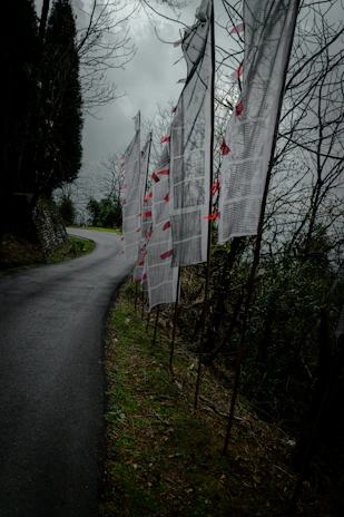 Pelling Homestay