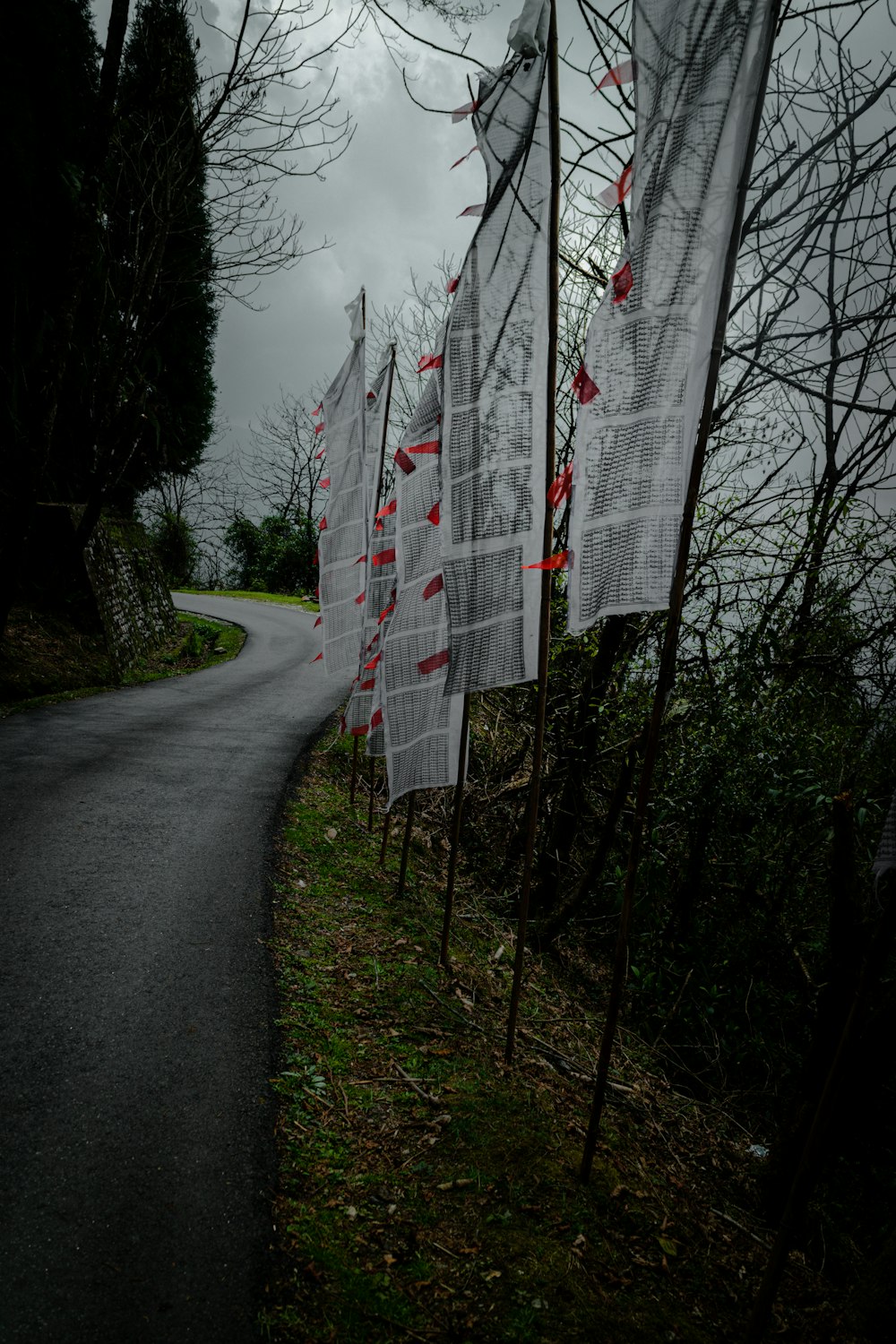 a bunch of flags that are on the side of a road