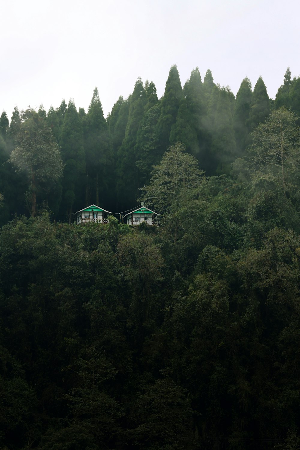 um grupo de casas sentadas no topo de uma colina verde exuberante