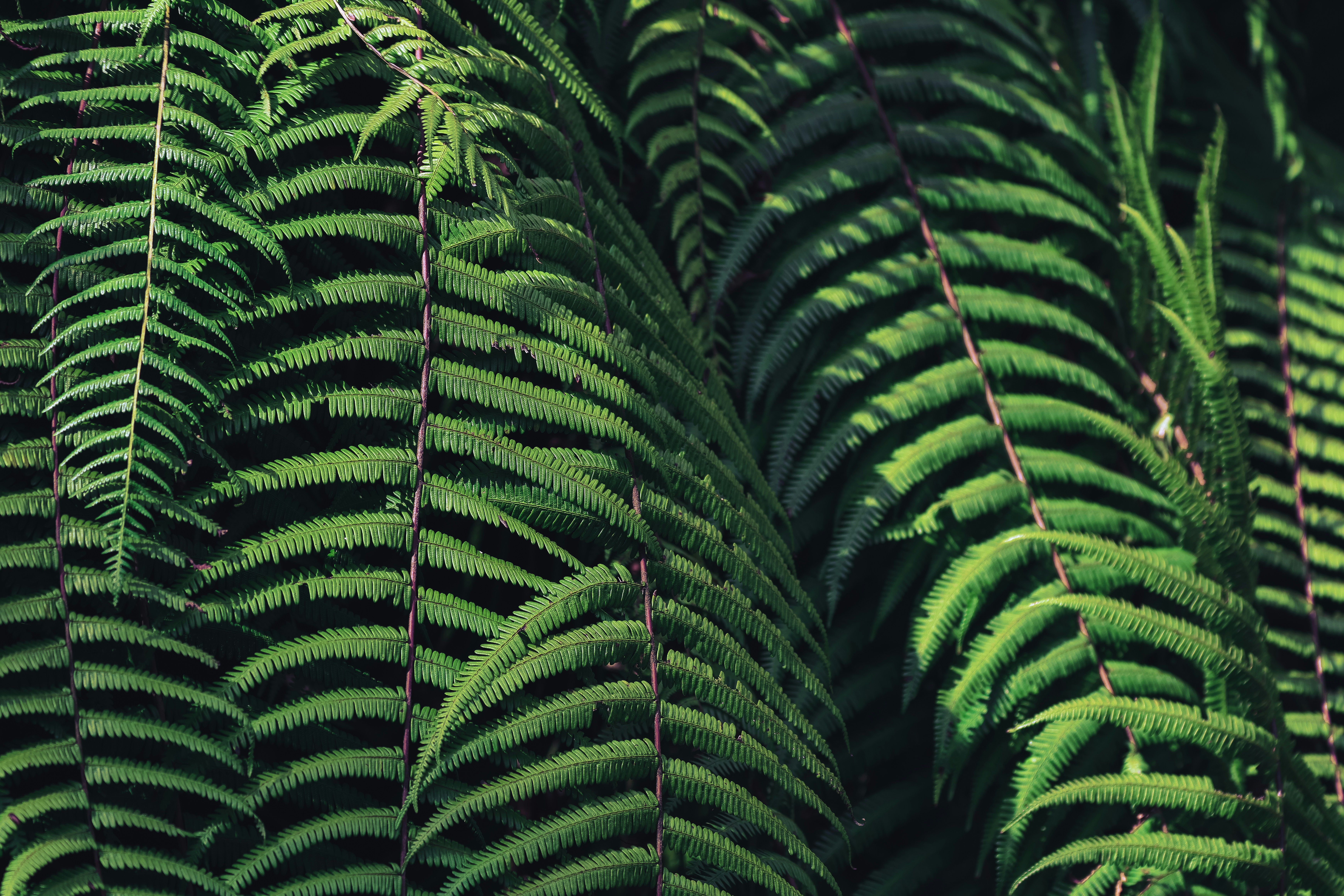 Photo by dhruvinpandya4