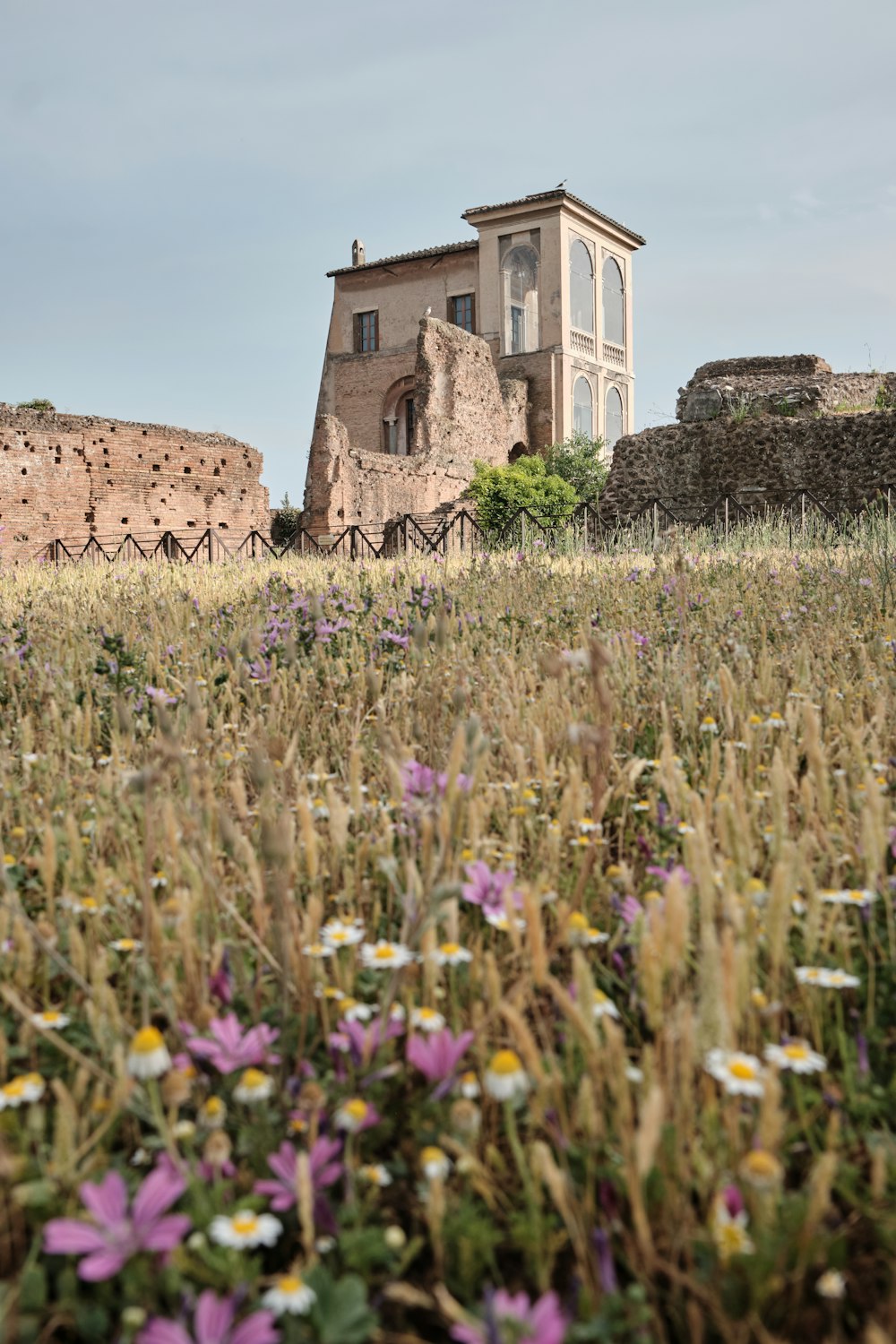 a building in the middle of a field of flowers