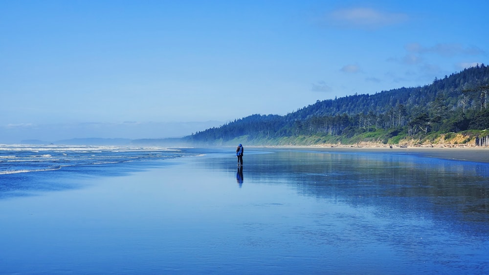 a lone person standing on a beach next to the ocean