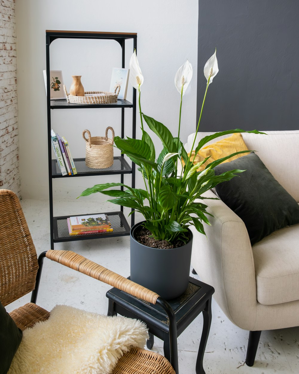 un salon avec un canapé, une chaise et une plante en pot