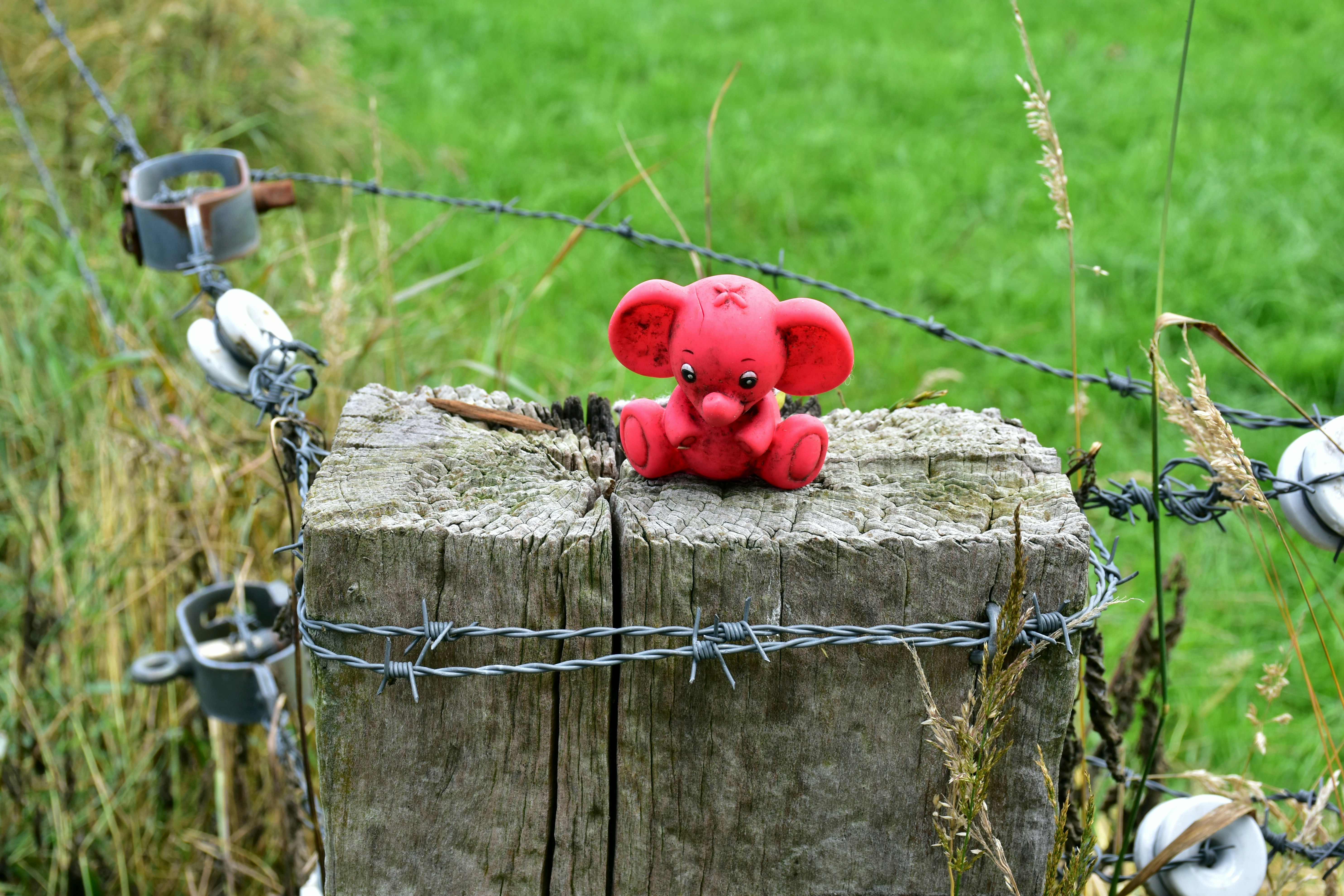 a red teddy bear sitting on top of a wooden post